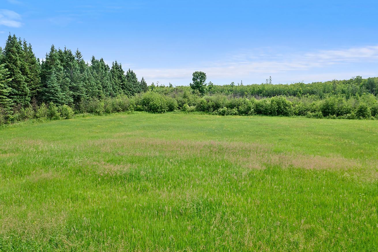 TBD 370th Lane, McGregor MN 55760 - Photo 7 of 21