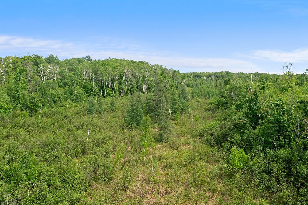 TBD 370th Lane, McGregor MN 55760 - Photo 8 of 21