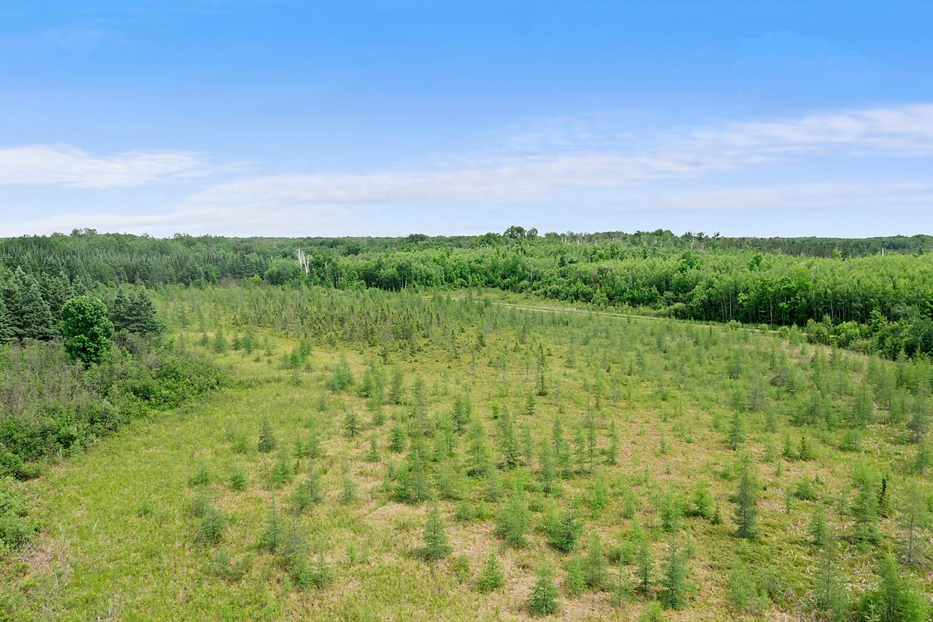 TBD 370th Lane, McGregor MN 55760 - Photo 9 of 21