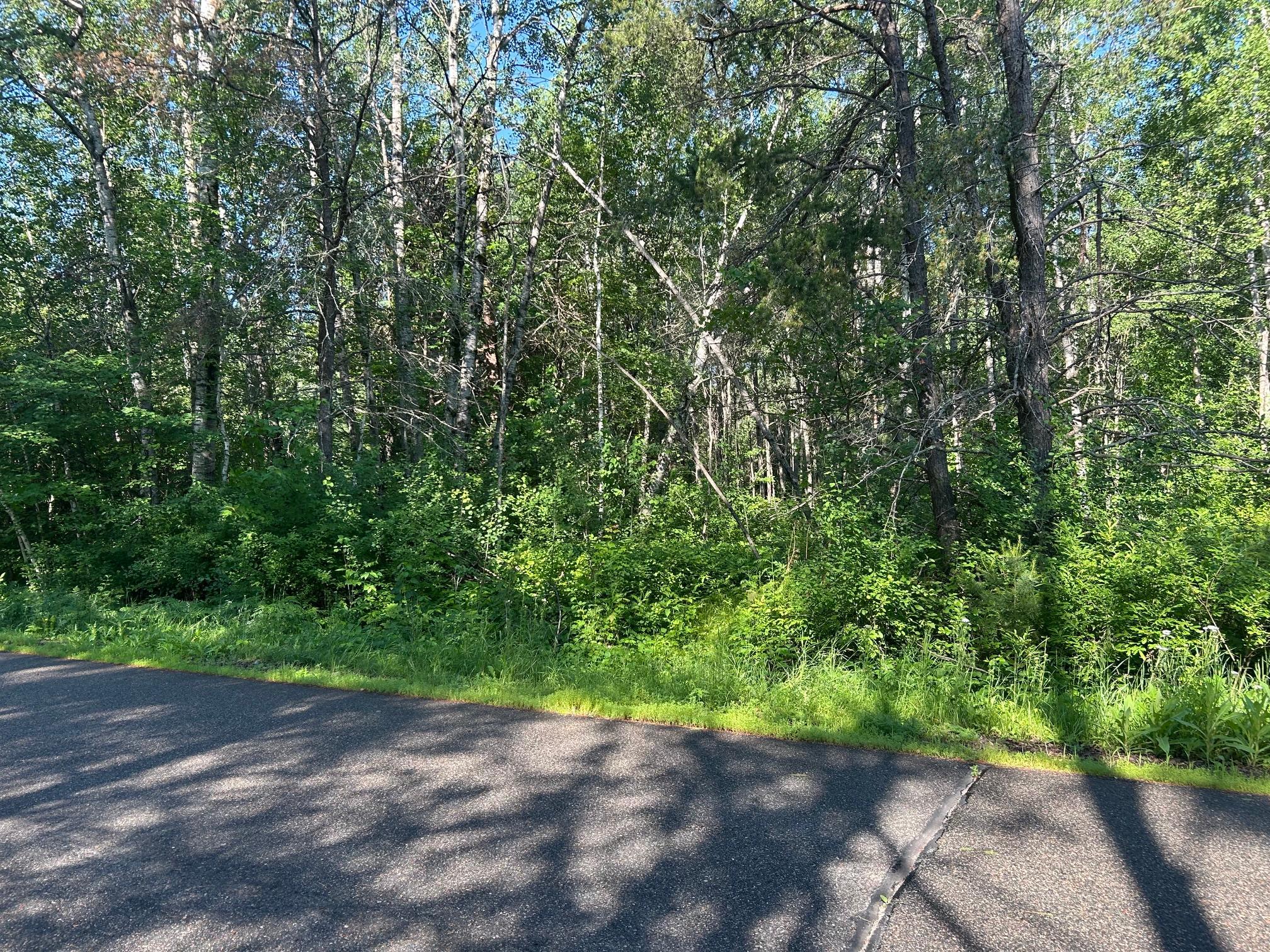 TBD SW 1st Ave, Grand Rapids MN 55744 - Photo 7 of 7