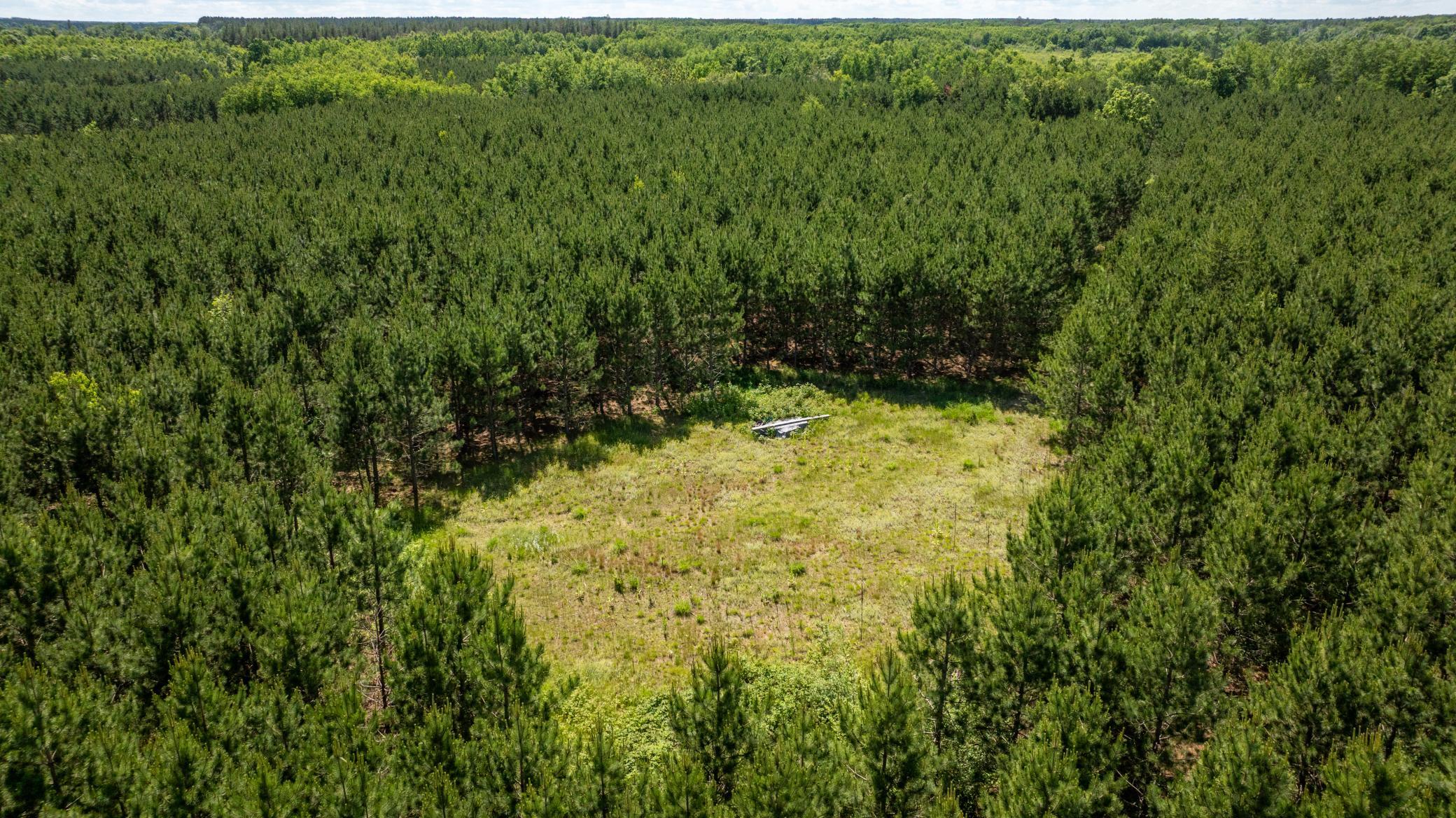 22415 Wilderness Drive, Verndale MN 56481 - Photo 11 of 89