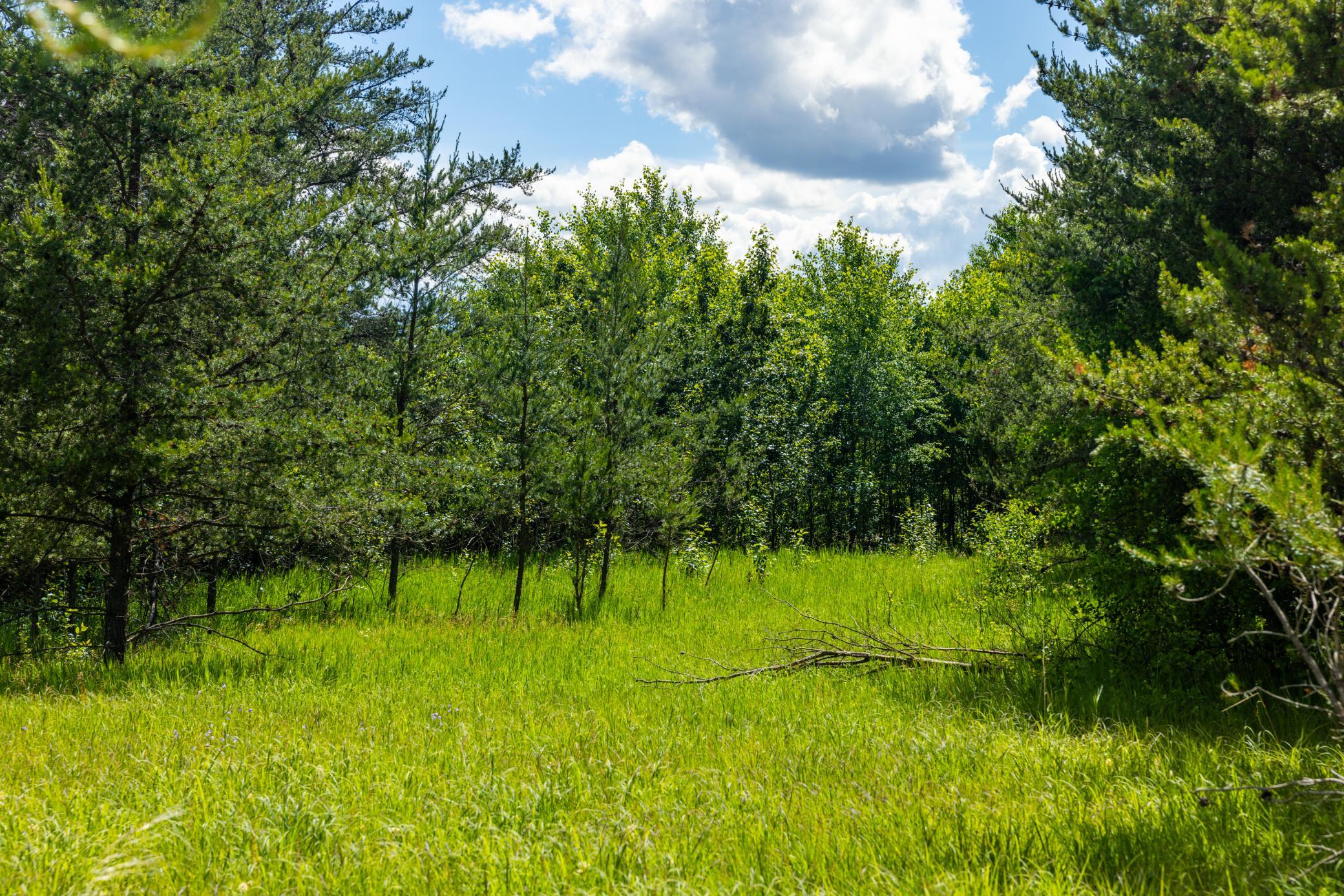 22415 Wilderness Drive, Verndale MN 56481 - Photo 19 of 89