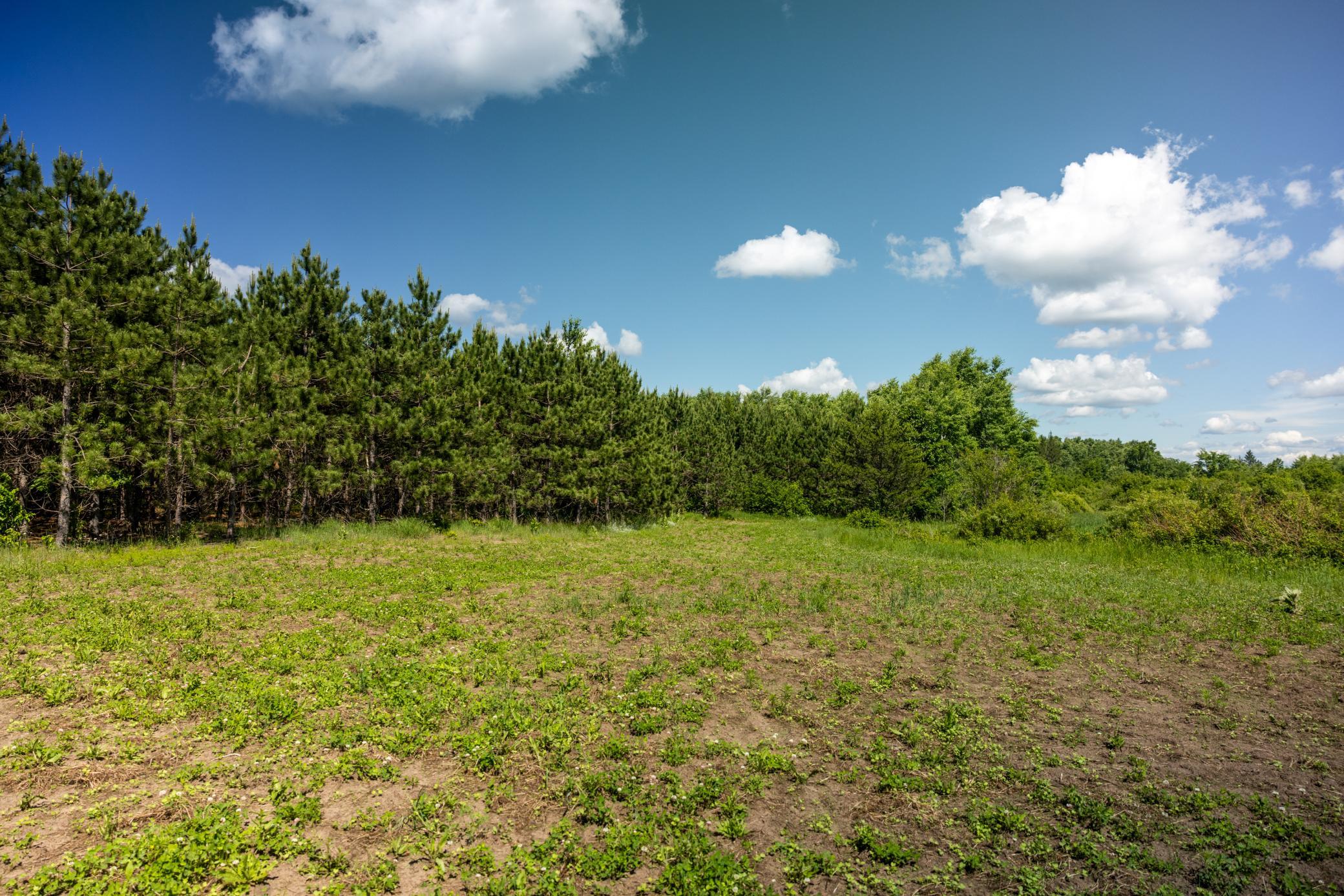 22415 Wilderness Drive, Verndale MN 56481 - Photo 38 of 89