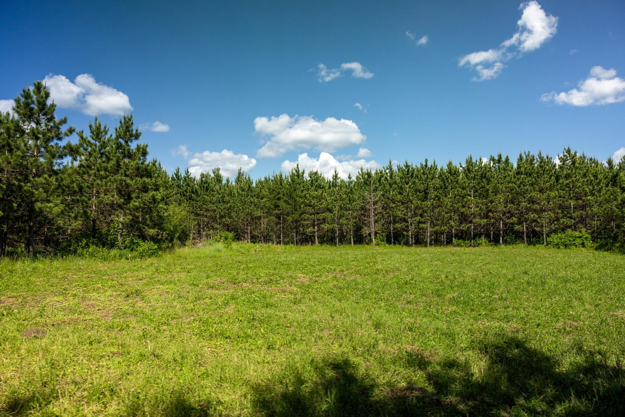 22415 Wilderness Drive, Verndale MN 56481 - Photo 46 of 89