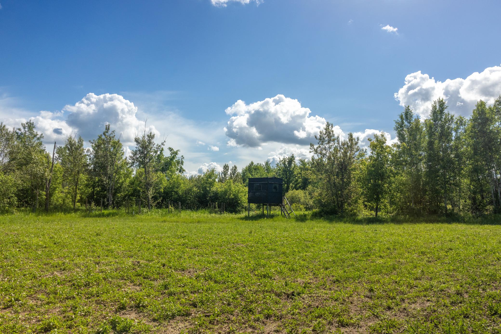 22415 Wilderness Drive, Verndale MN 56481 - Photo 48 of 89