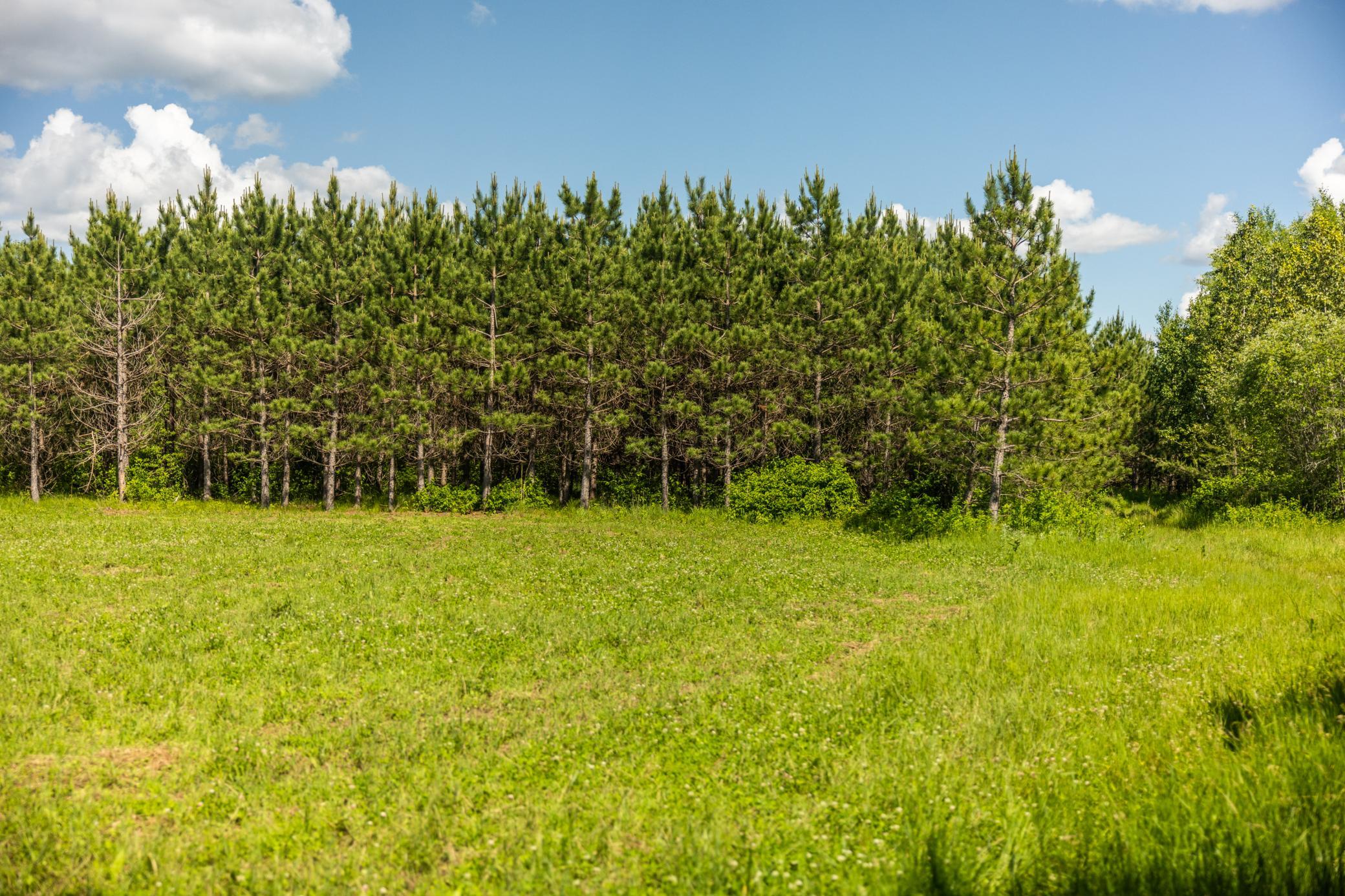 22415 Wilderness Drive, Verndale MN 56481 - Photo 51 of 89