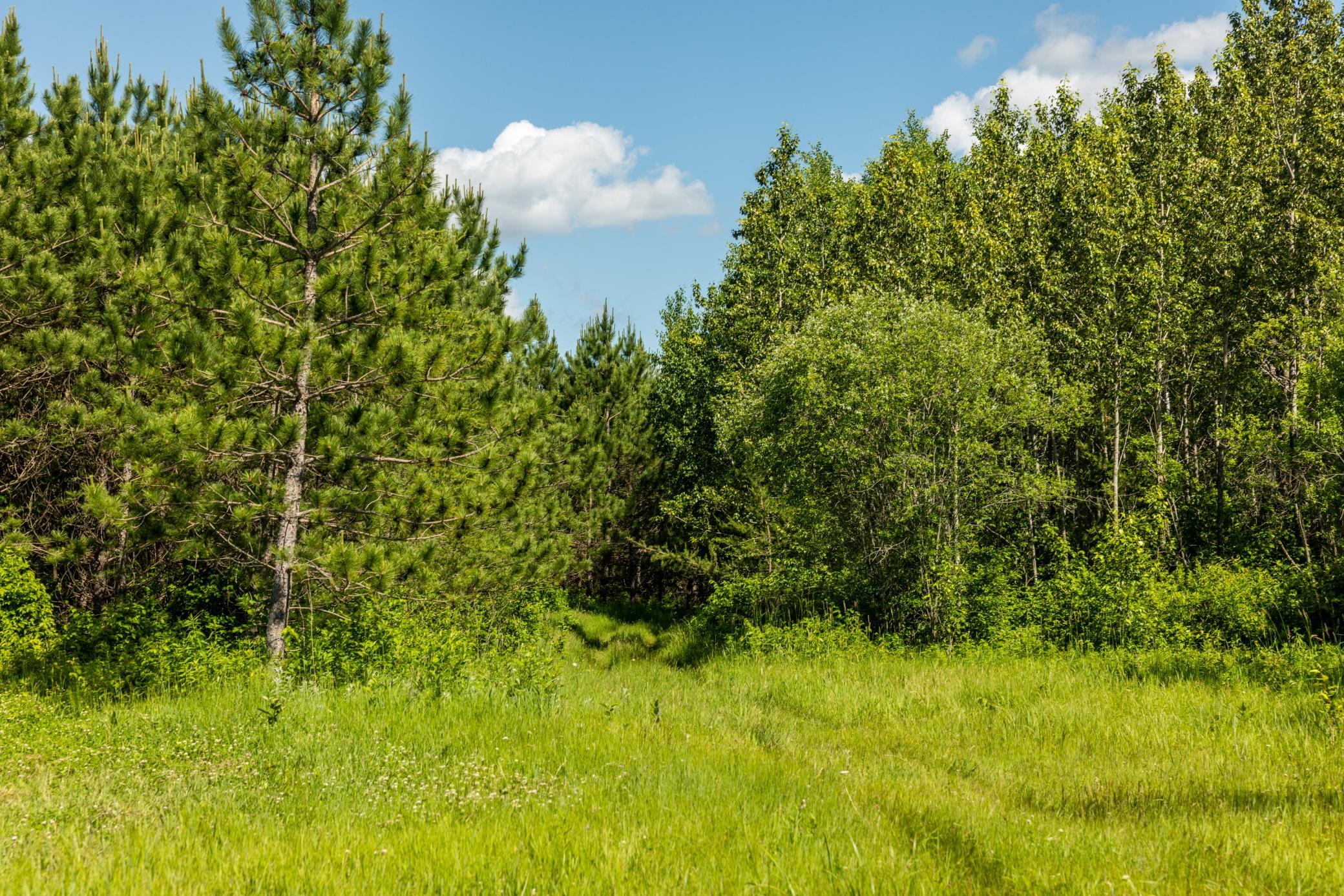 22415 Wilderness Drive, Verndale MN 56481 - Photo 57 of 89