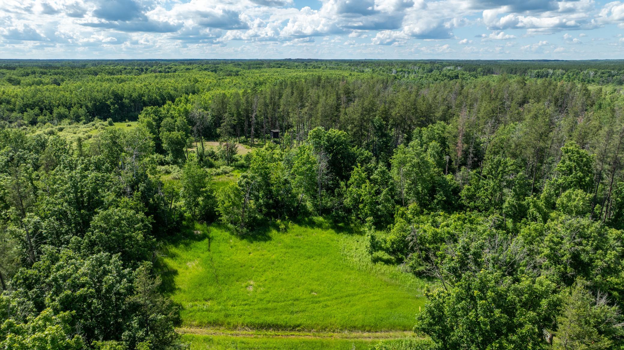 22415 Wilderness Drive, Verndale MN 56481 - Photo 59 of 89