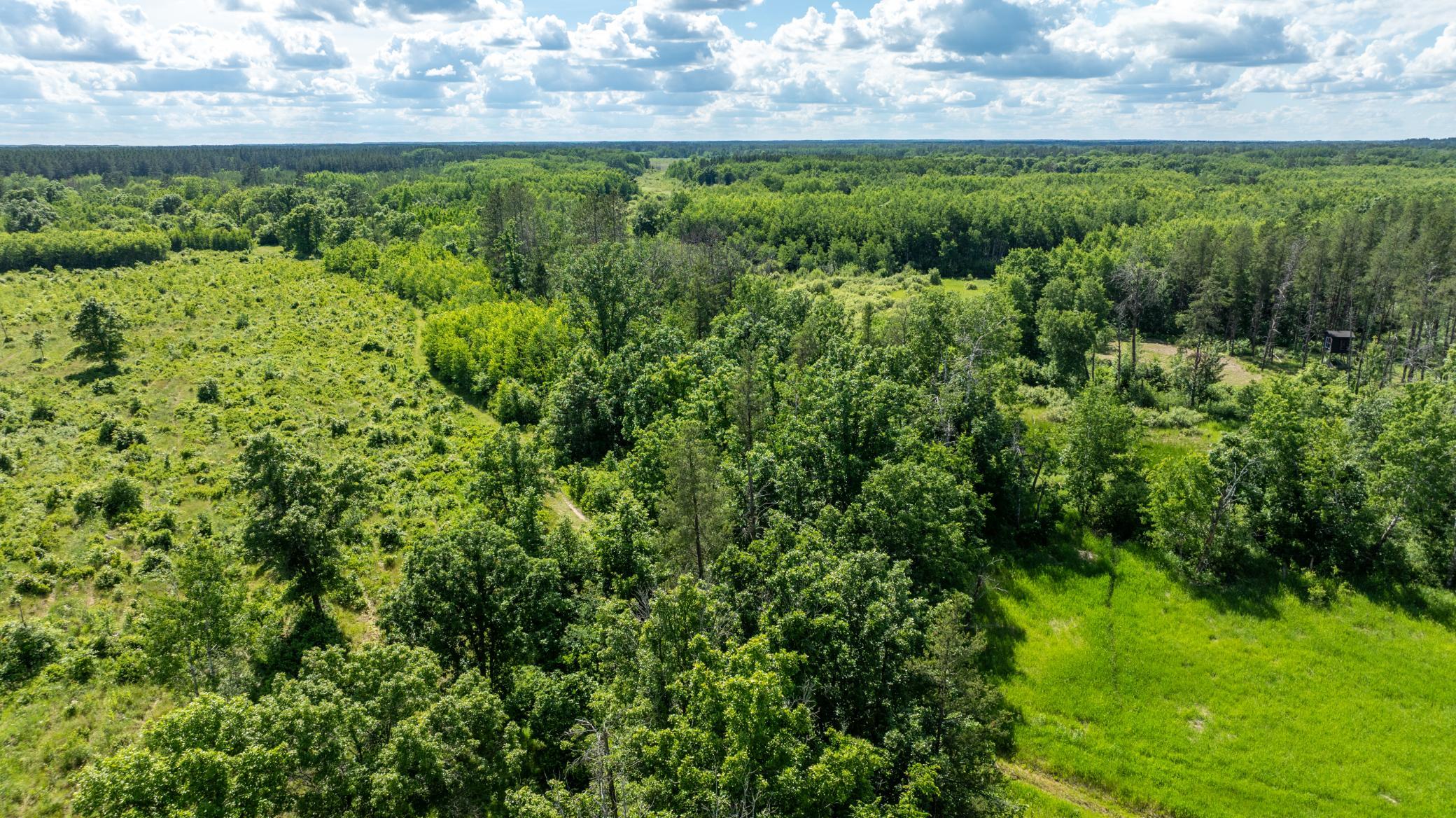 22415 Wilderness Drive, Verndale MN 56481 - Photo 60 of 89