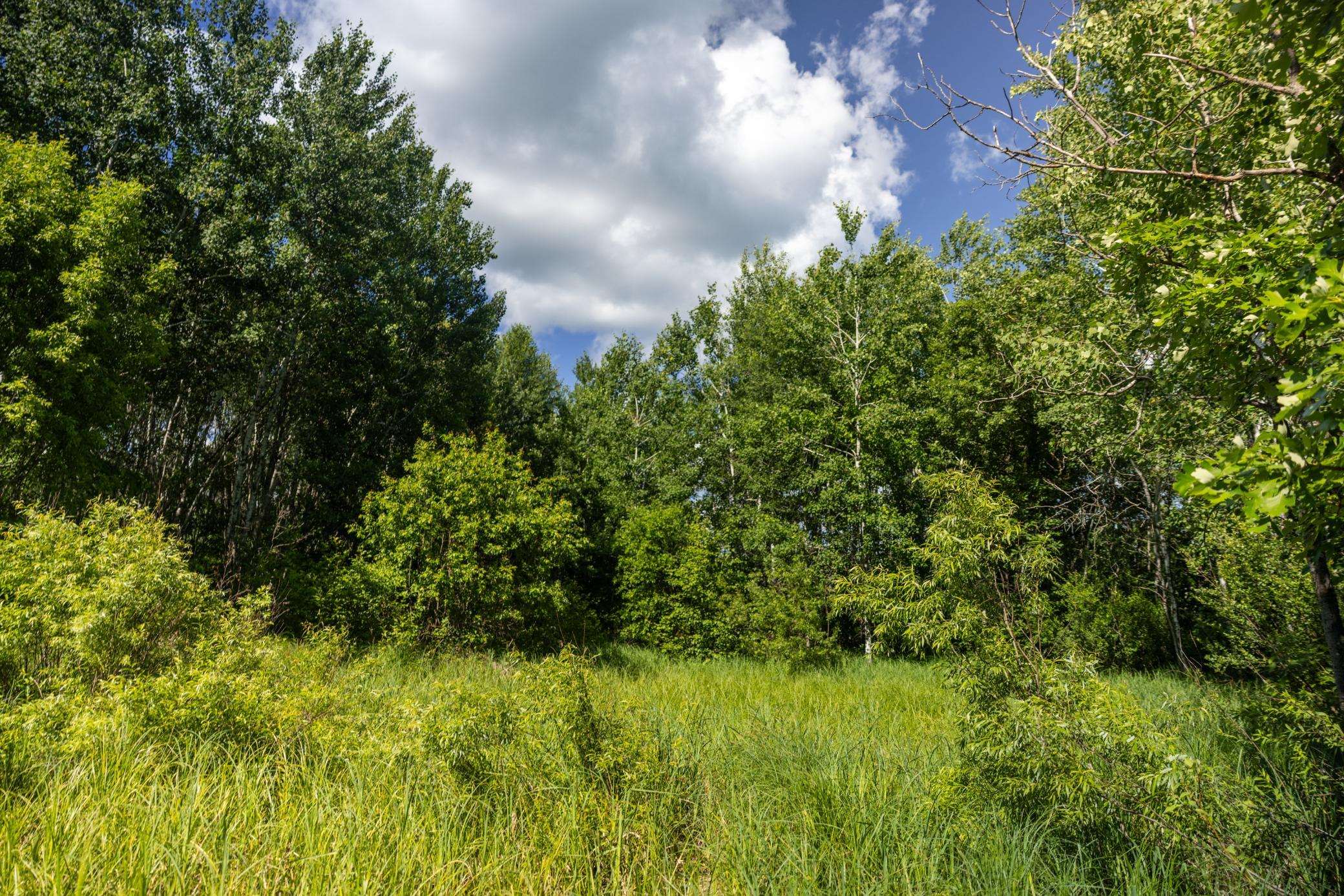 22415 Wilderness Drive, Verndale MN 56481 - Photo 65 of 89