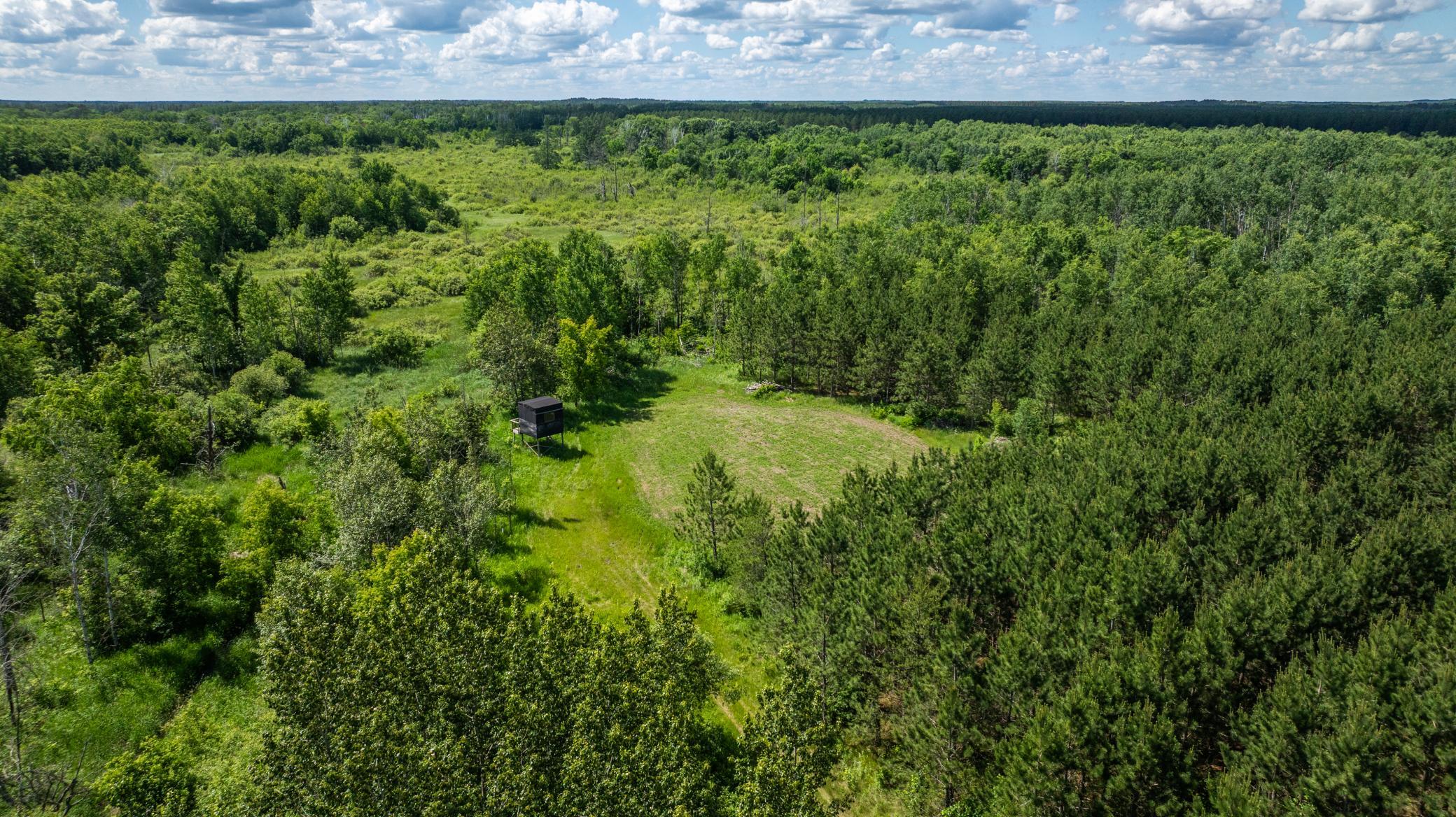 22415 Wilderness Drive, Verndale MN 56481 - Photo 8 of 89