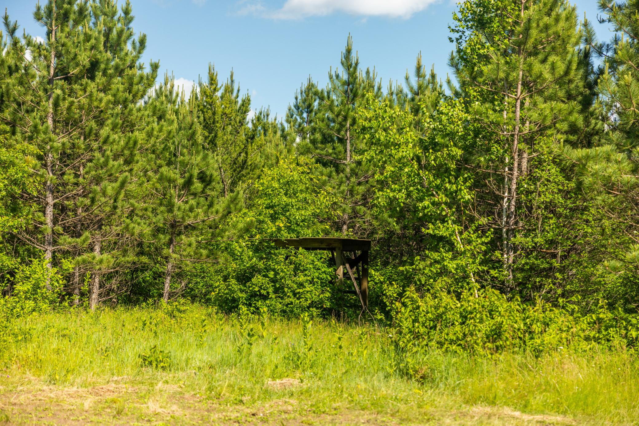 22415 Wilderness Drive, Verndale MN 56481 - Photo 71 of 89