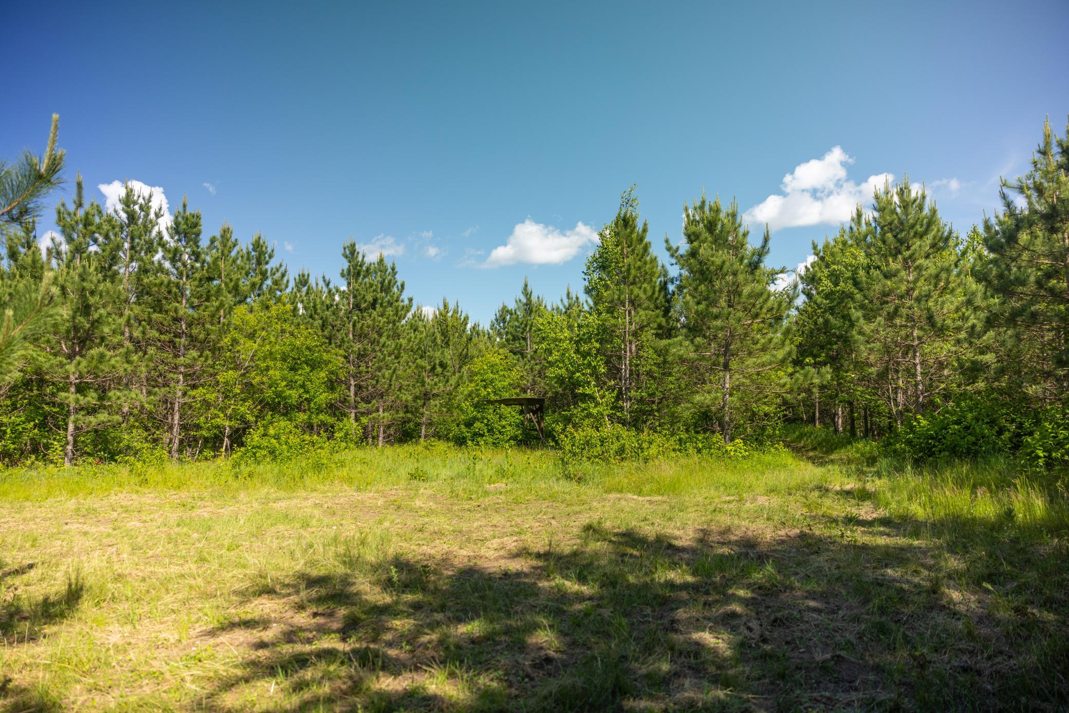22415 Wilderness Drive, Verndale MN 56481 - Photo 72 of 89