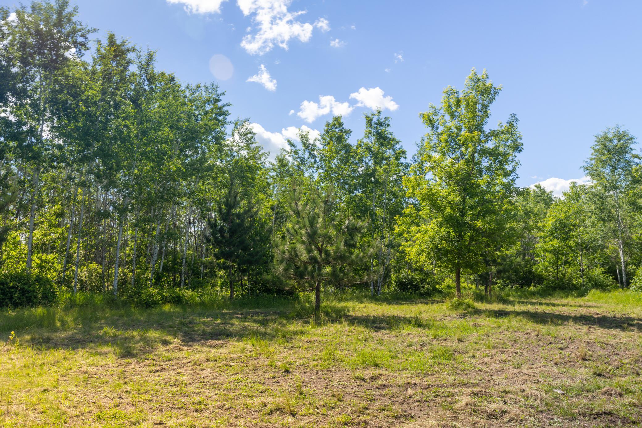 22415 Wilderness Drive, Verndale MN 56481 - Photo 73 of 89