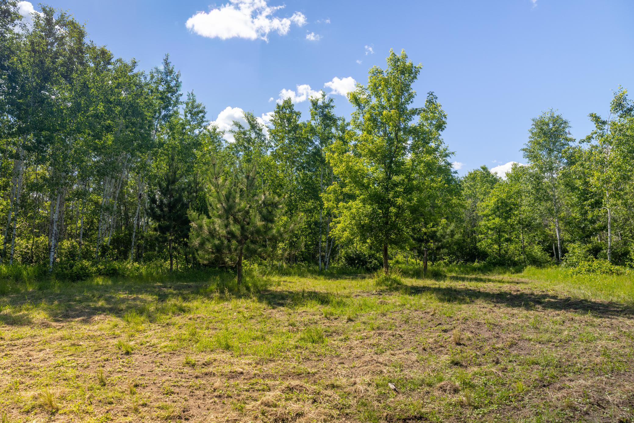 22415 Wilderness Drive, Verndale MN 56481 - Photo 74 of 89