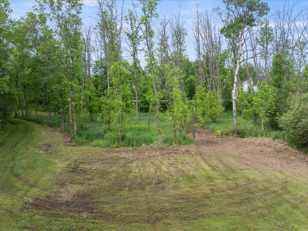 TBD McGowan Road, Brainerd MN 56401 - Photo 6 of 27