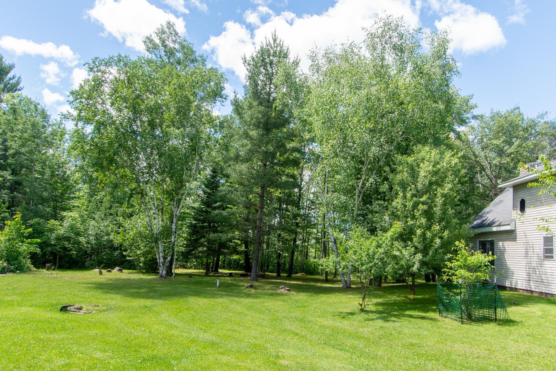 15415 Goshawk Street, Tamarack MN 55787 - Photo 6 of 32