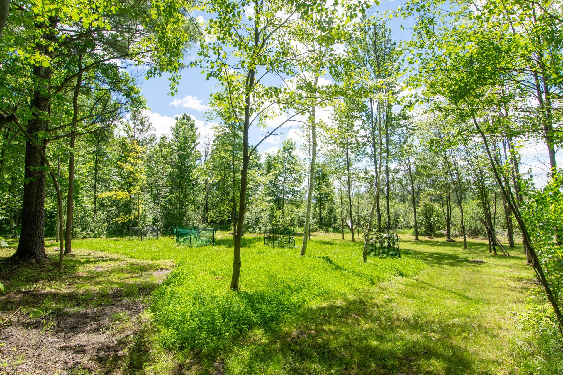 15415 Goshawk Street, Tamarack MN 55787 - Photo 9 of 32