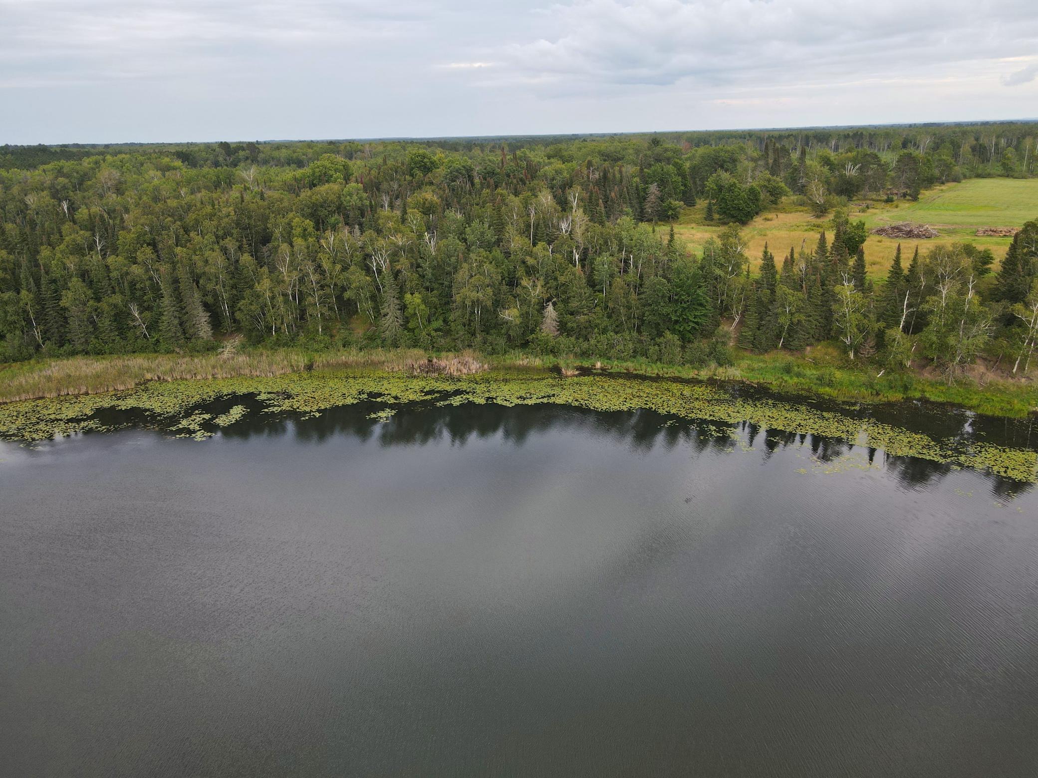 LOT D TBD County Road 51, Bovey MN 55709 - Photo 3 of 12