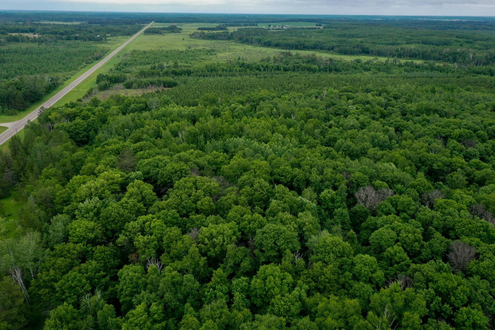 land for sale at 25820 County Road 26 in Sebeka, MN