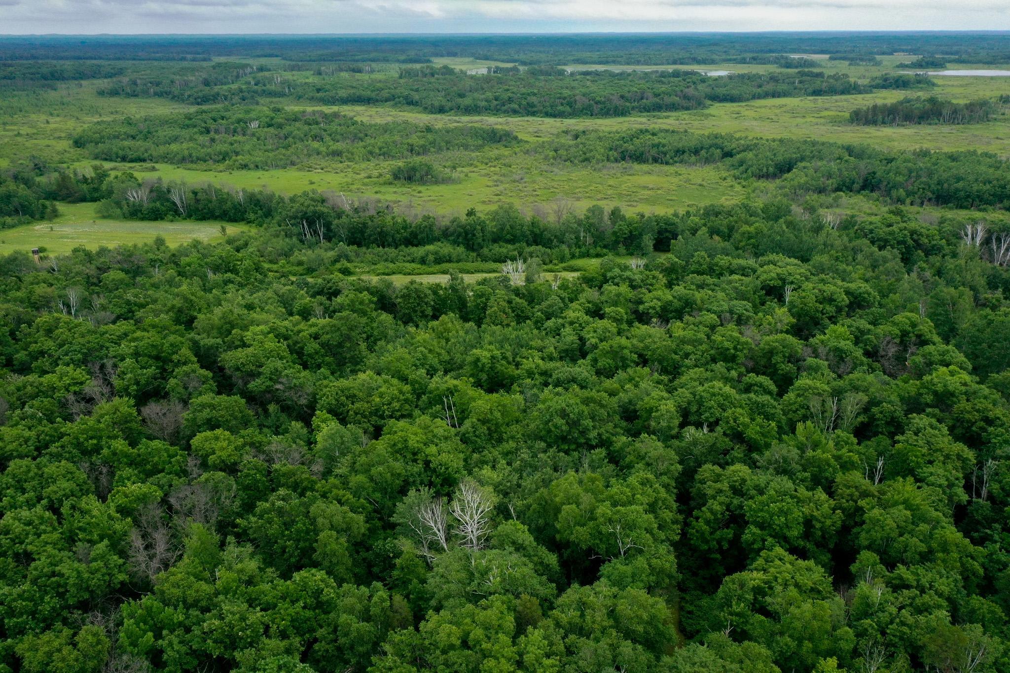land for sale at 25820 County Road 26 in Sebeka, MN (photo 2 of 105)