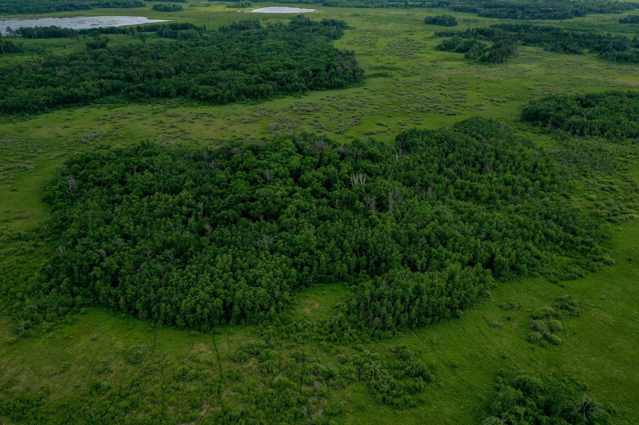 land for sale at 25820 County Road 26 in Sebeka, MN (photo 13 of 105)