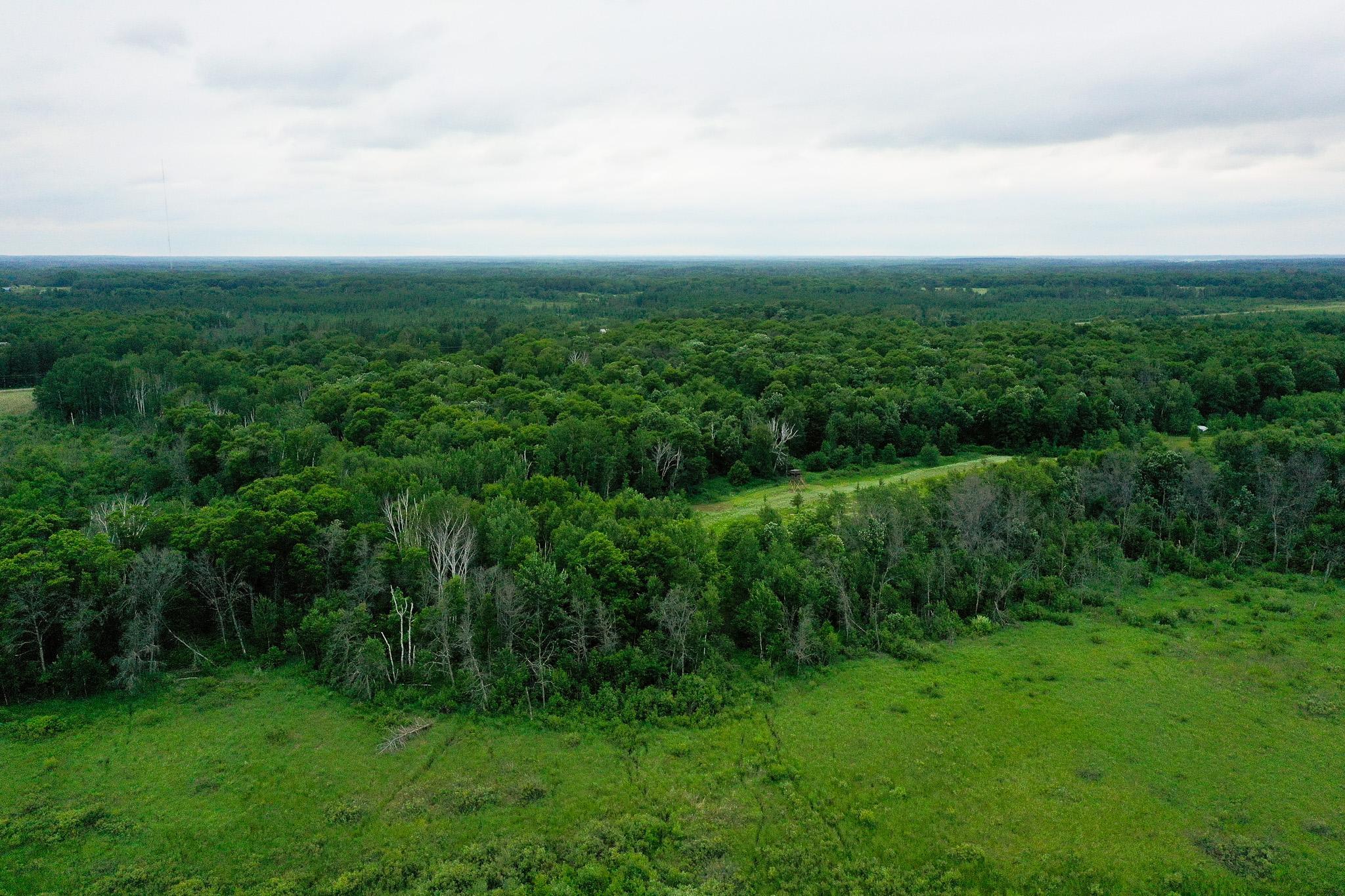 land for sale at 25820 County Road 26 in Sebeka, MN (photo 19 of 105)