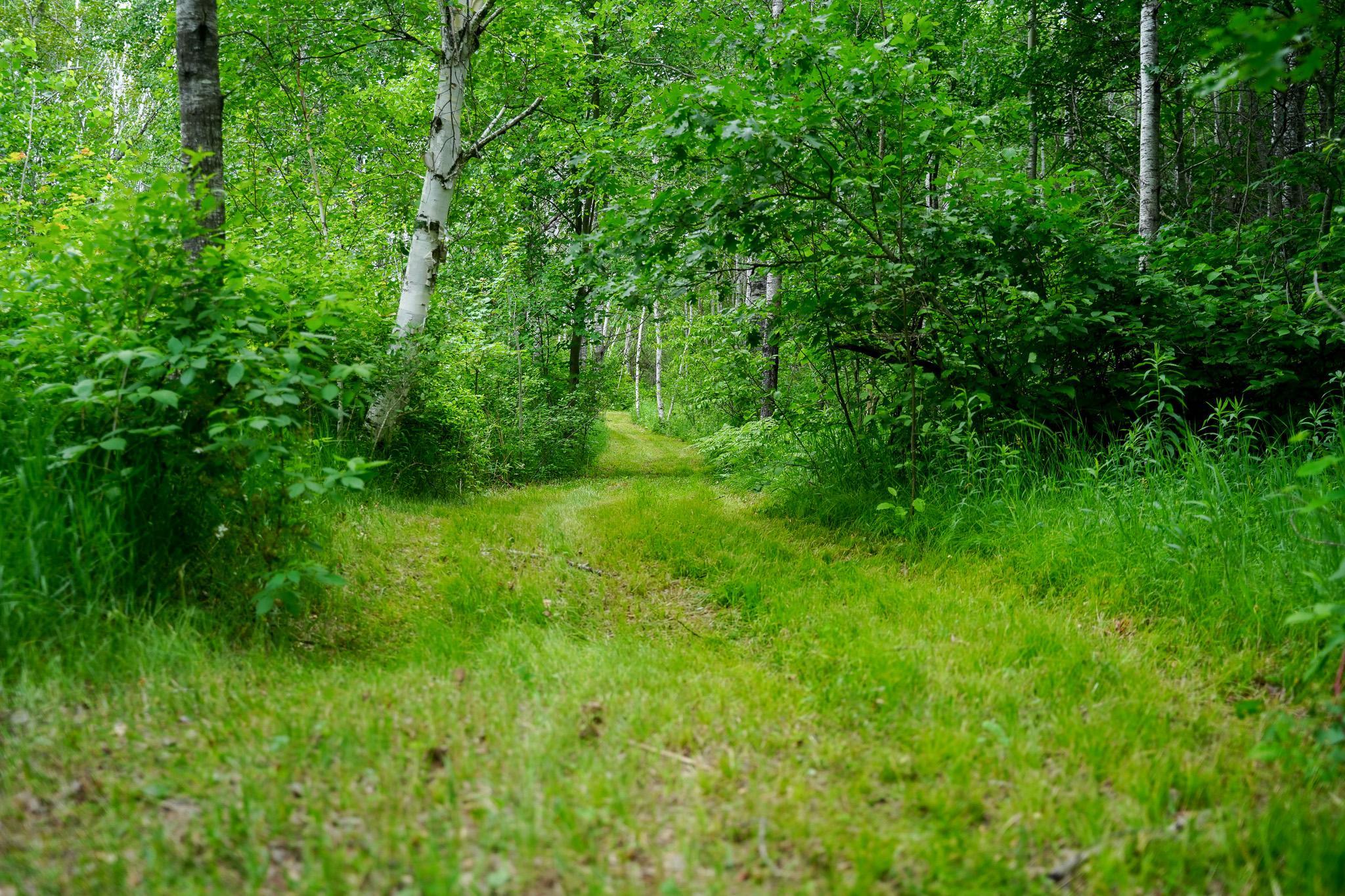 land for sale at 25820 County Road 26 in Sebeka, MN (photo 23 of 105)