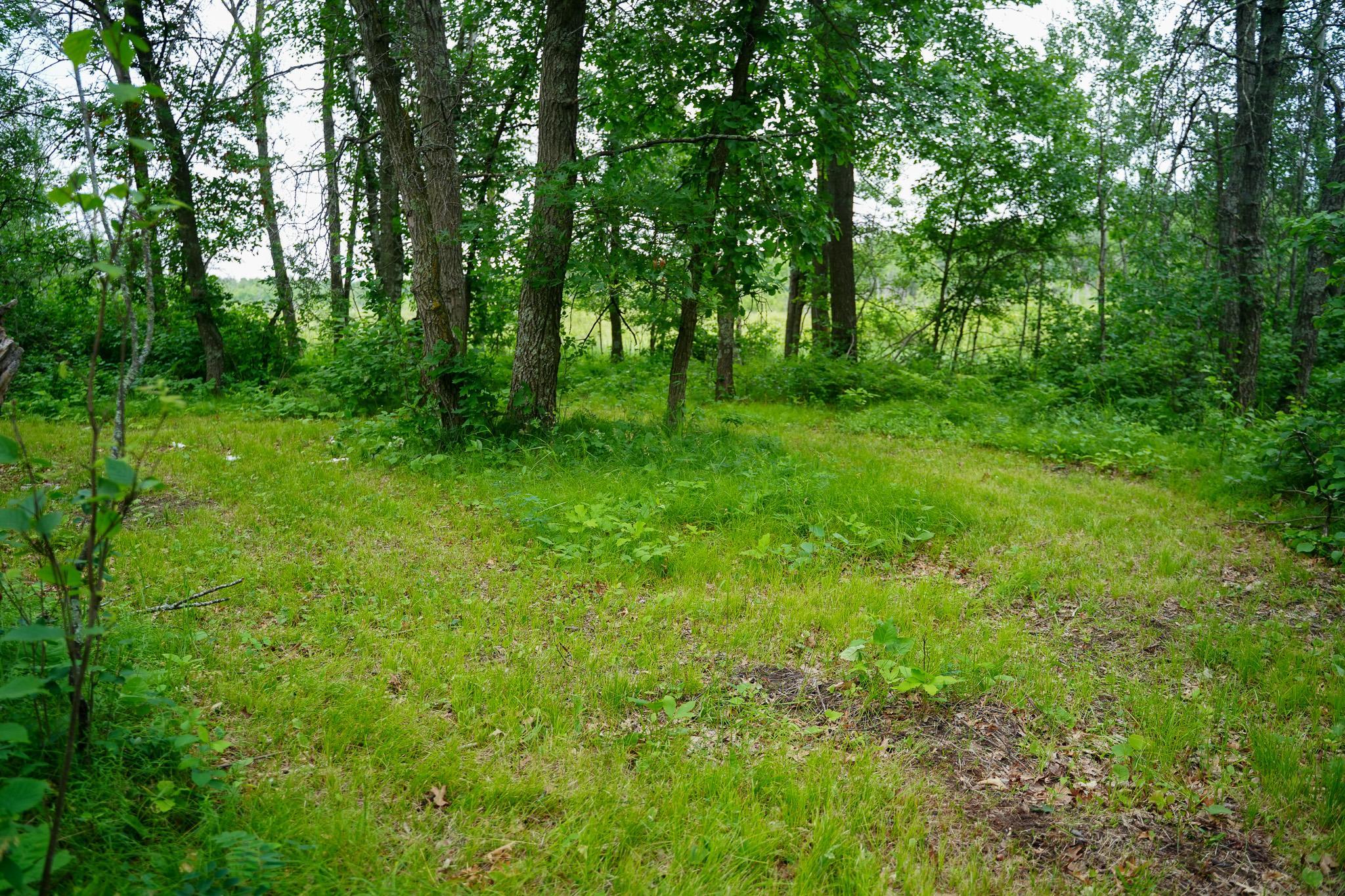 land for sale at 25820 County Road 26 in Sebeka, MN (photo 24 of 105)