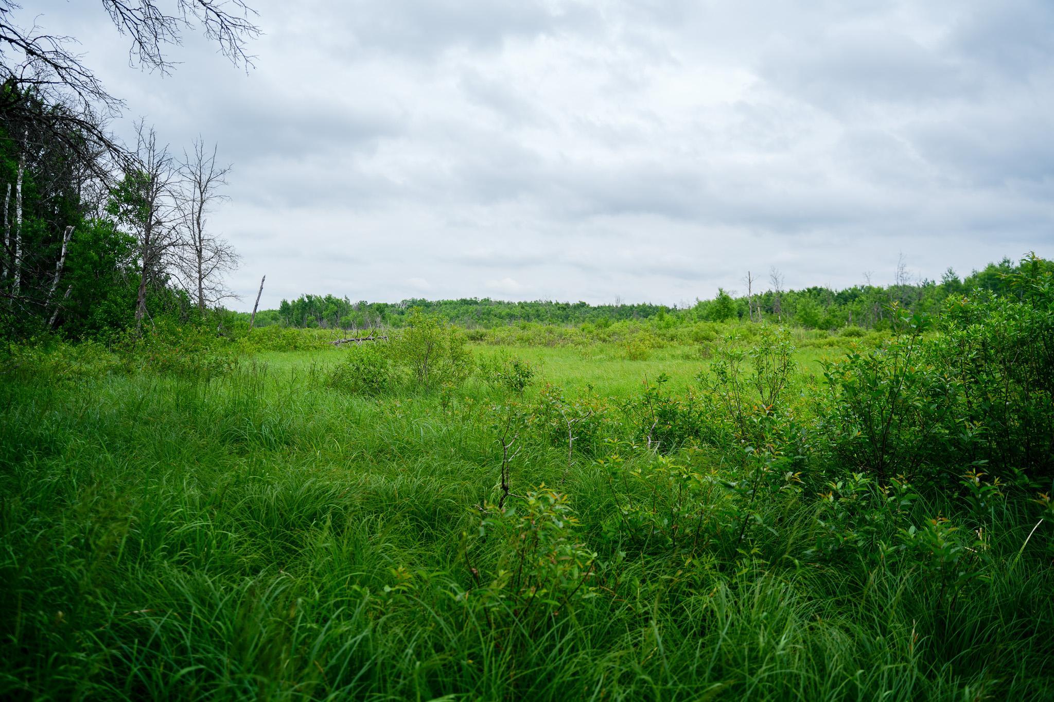 land for sale at 25820 County Road 26 in Sebeka, MN (photo 26 of 105)