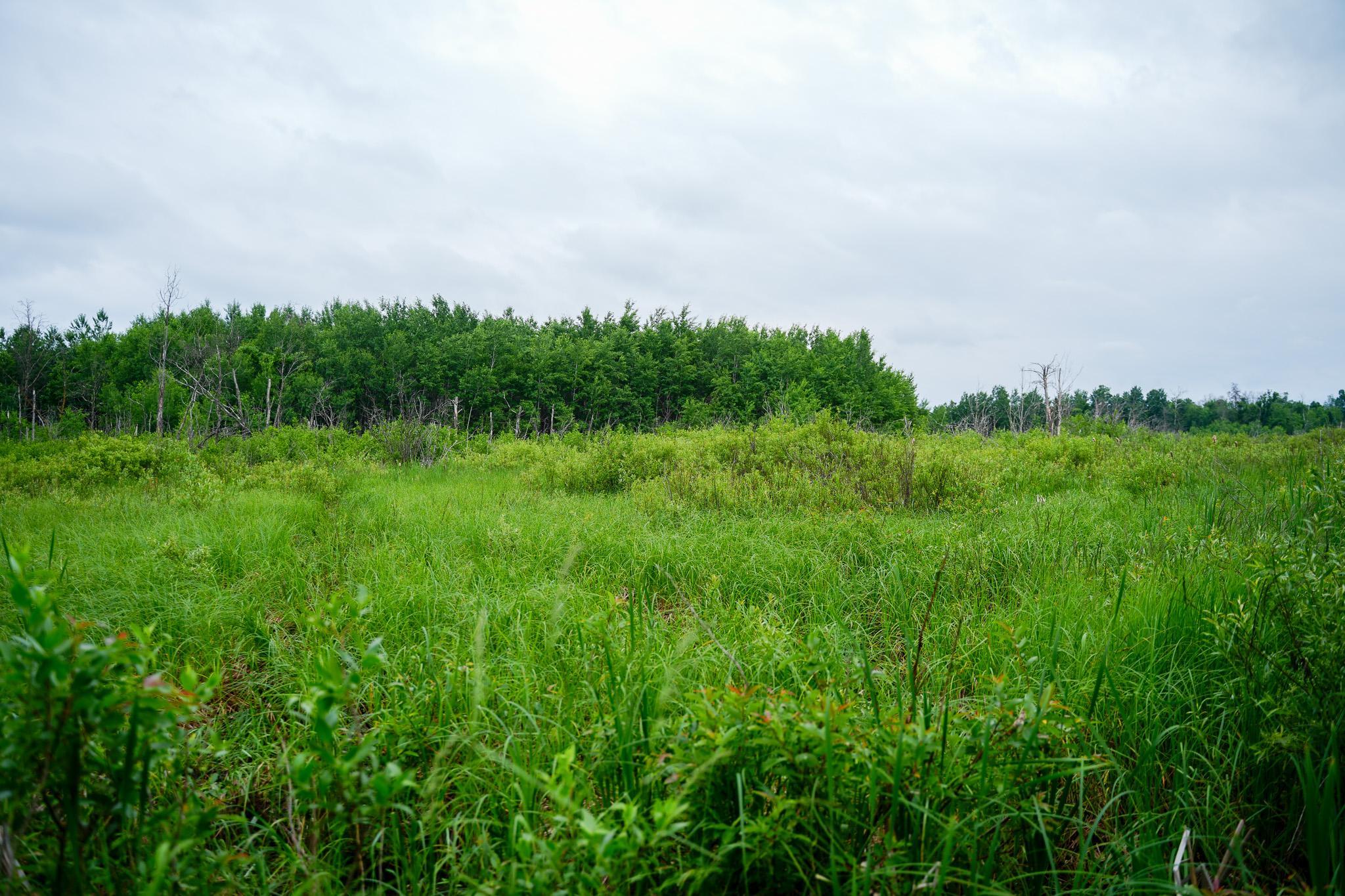 land for sale at 25820 County Road 26 in Sebeka, MN (photo 28 of 105)