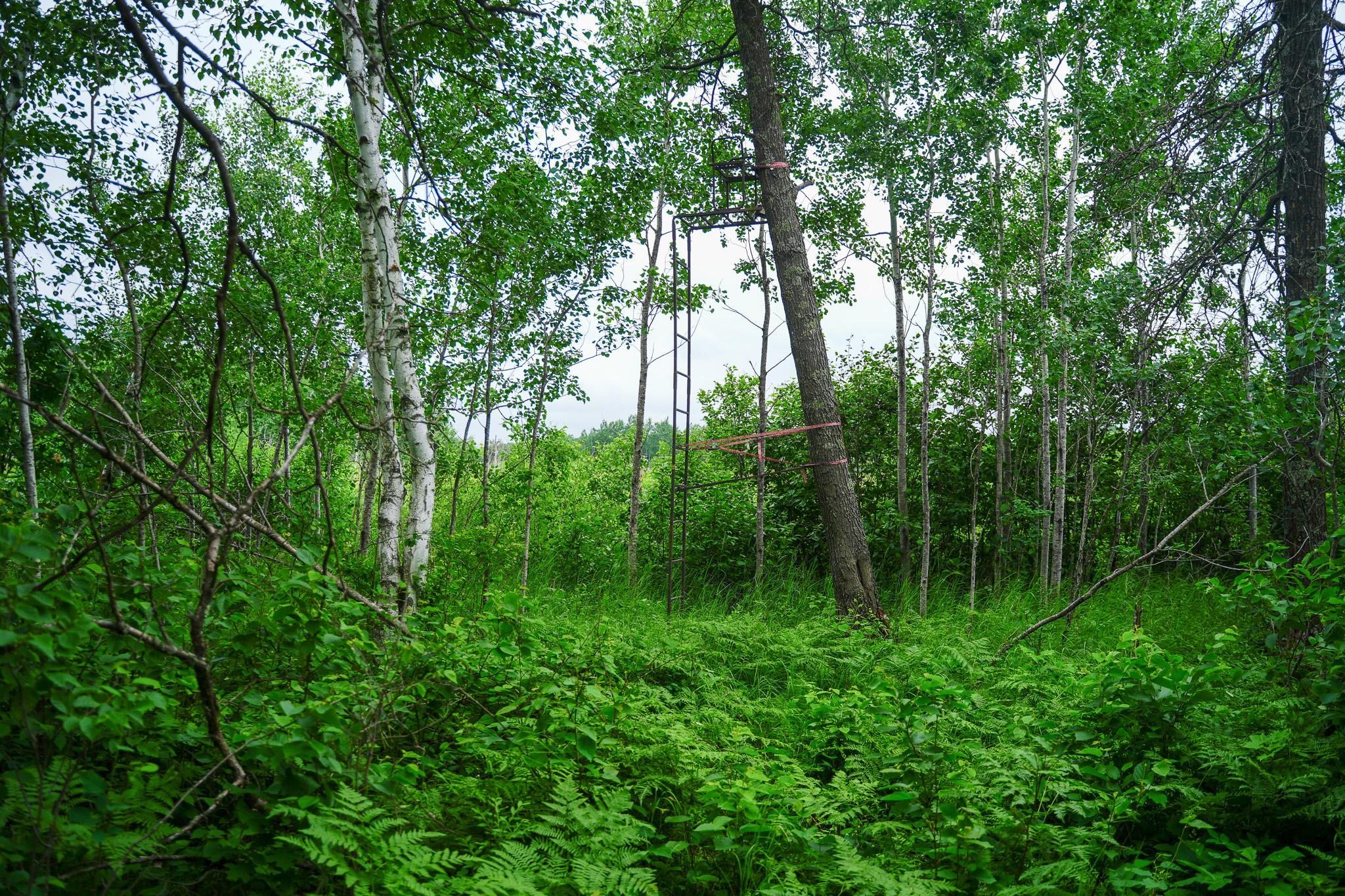 land for sale at 25820 County Road 26 in Sebeka, MN (photo 29 of 105)