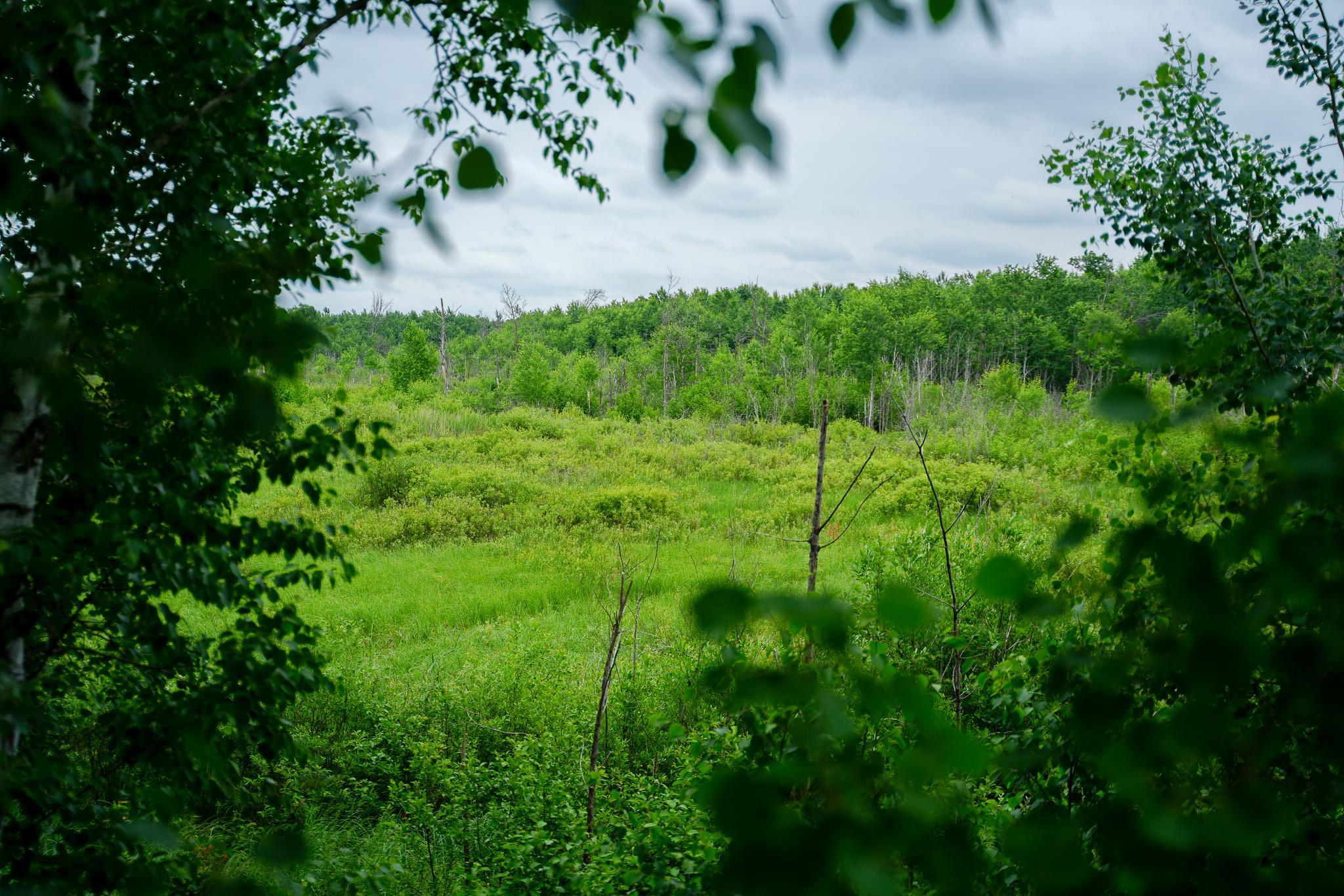 land for sale at 25820 County Road 26 in Sebeka, MN (photo 30 of 105)