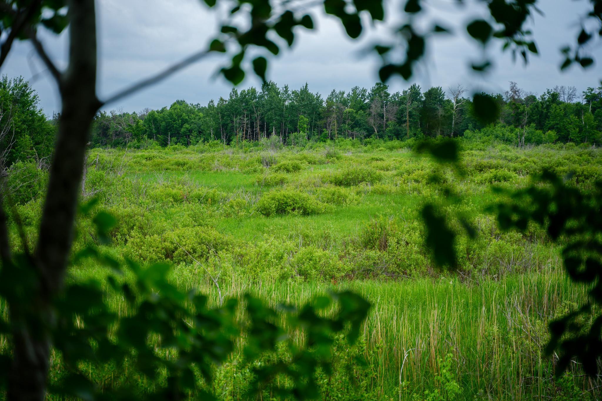 land for sale at 25820 County Road 26 in Sebeka, MN (photo 31 of 105)