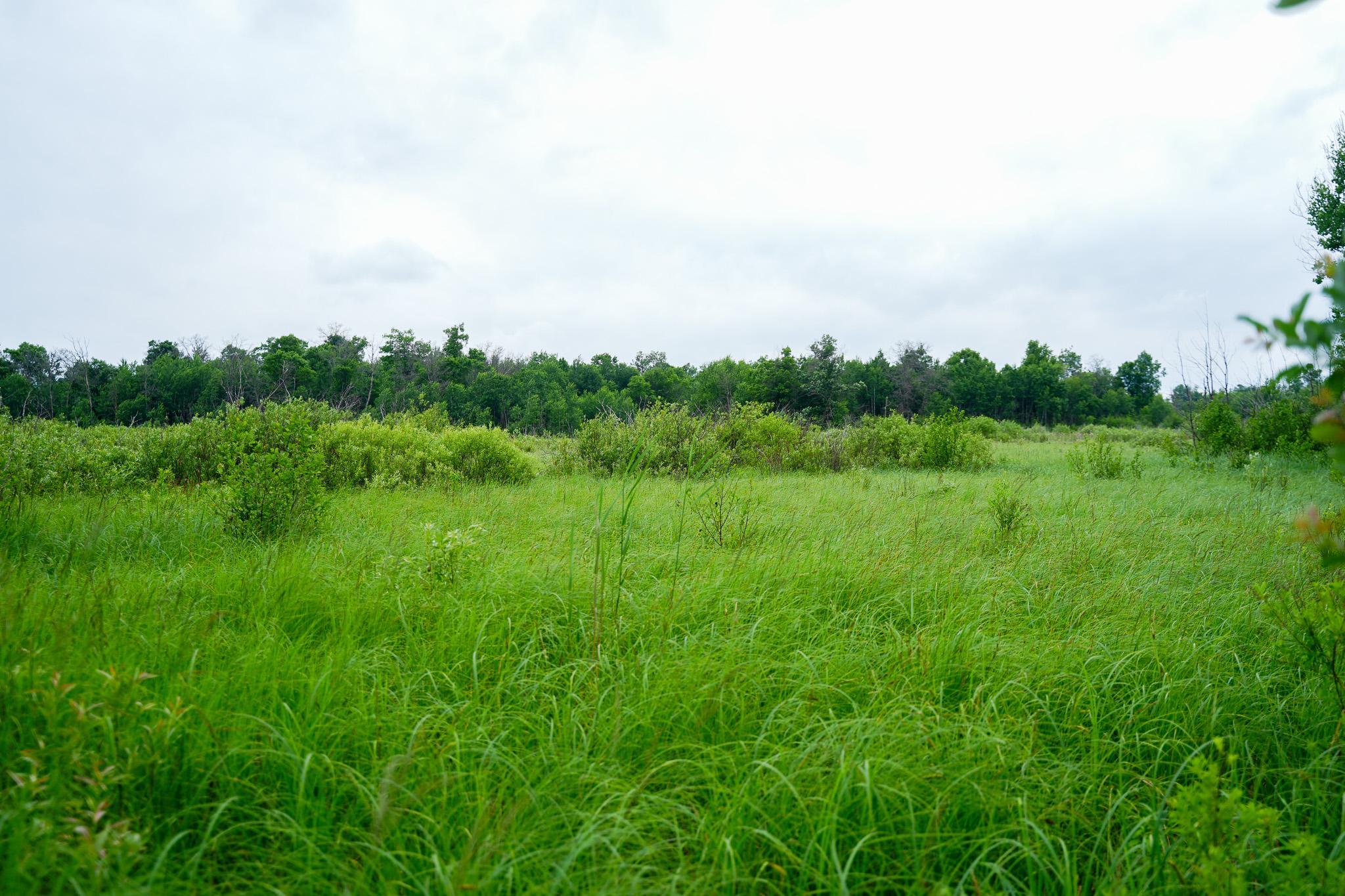 land for sale at 25820 County Road 26 in Sebeka, MN (photo 32 of 105)