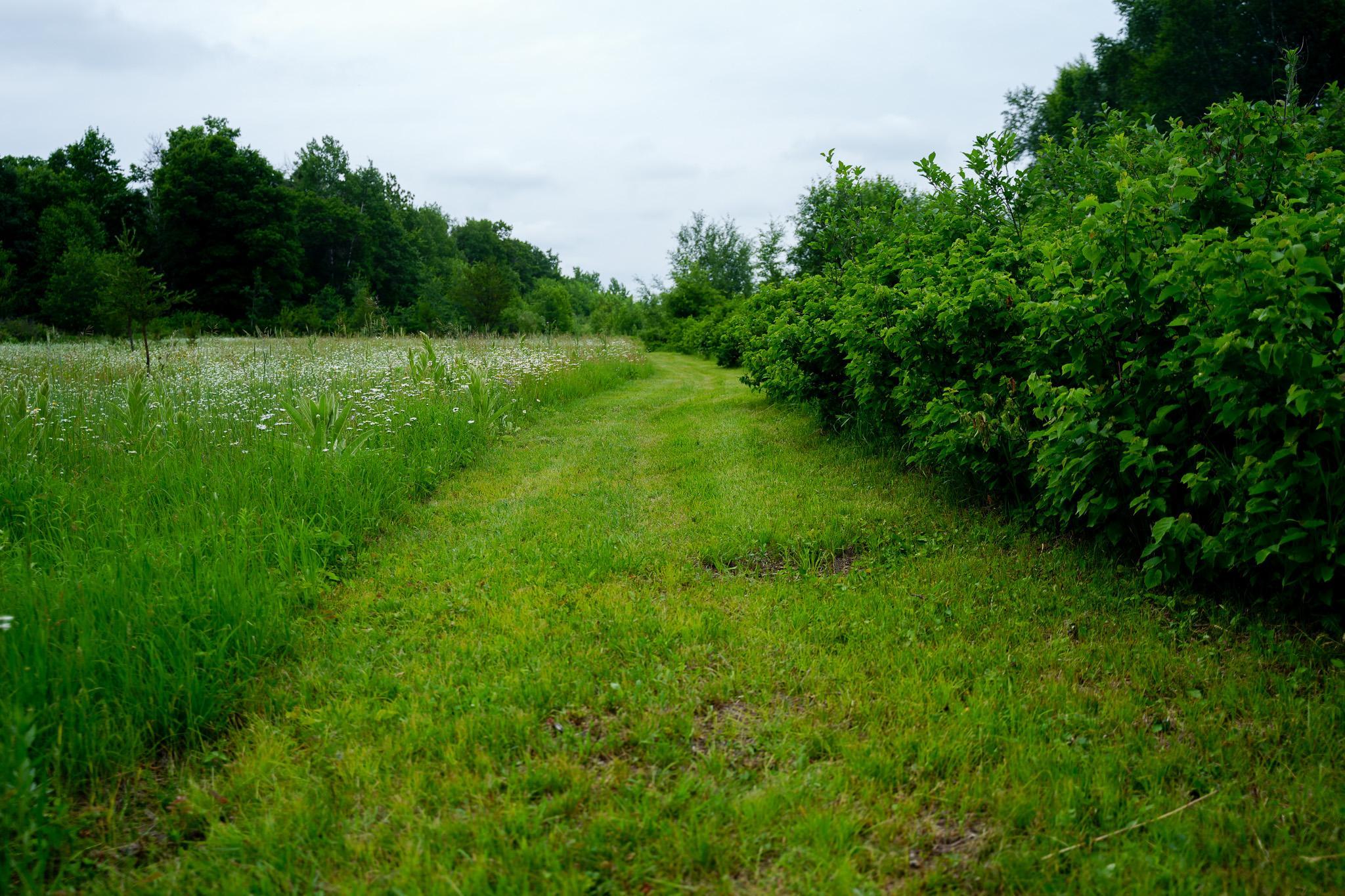 land for sale at 25820 County Road 26 in Sebeka, MN (photo 34 of 105)