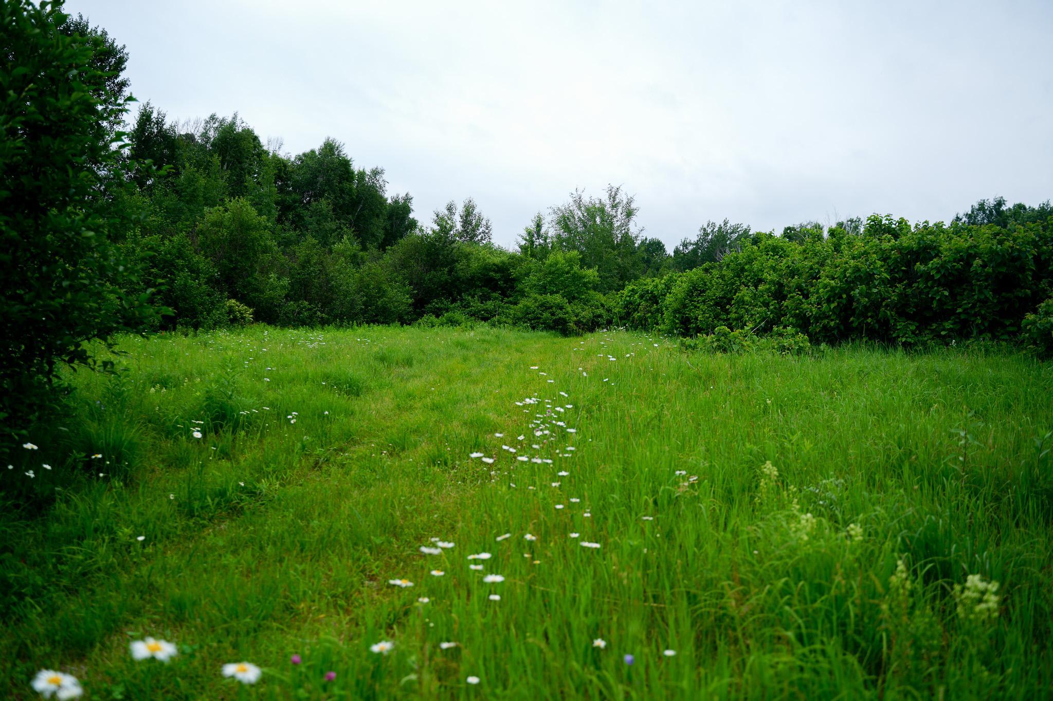 land for sale at 25820 County Road 26 in Sebeka, MN (photo 36 of 105)