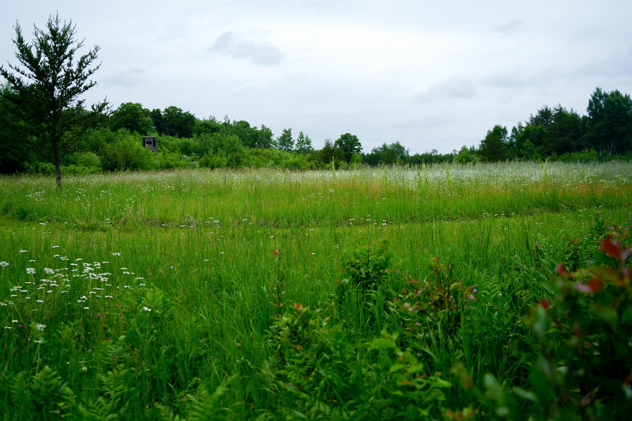 land for sale at 25820 County Road 26 in Sebeka, MN (photo 37 of 105)