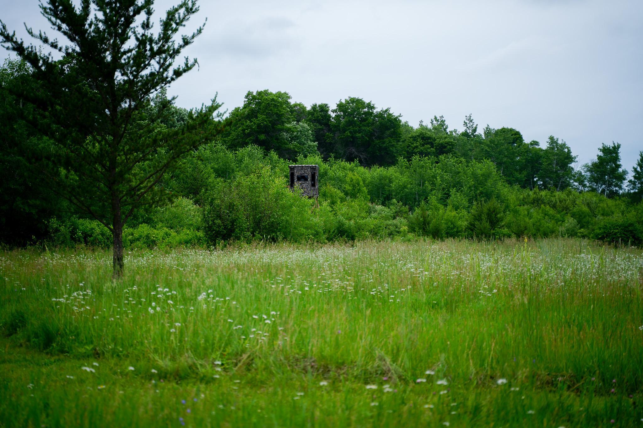 land for sale at 25820 County Road 26 in Sebeka, MN (photo 38 of 105)