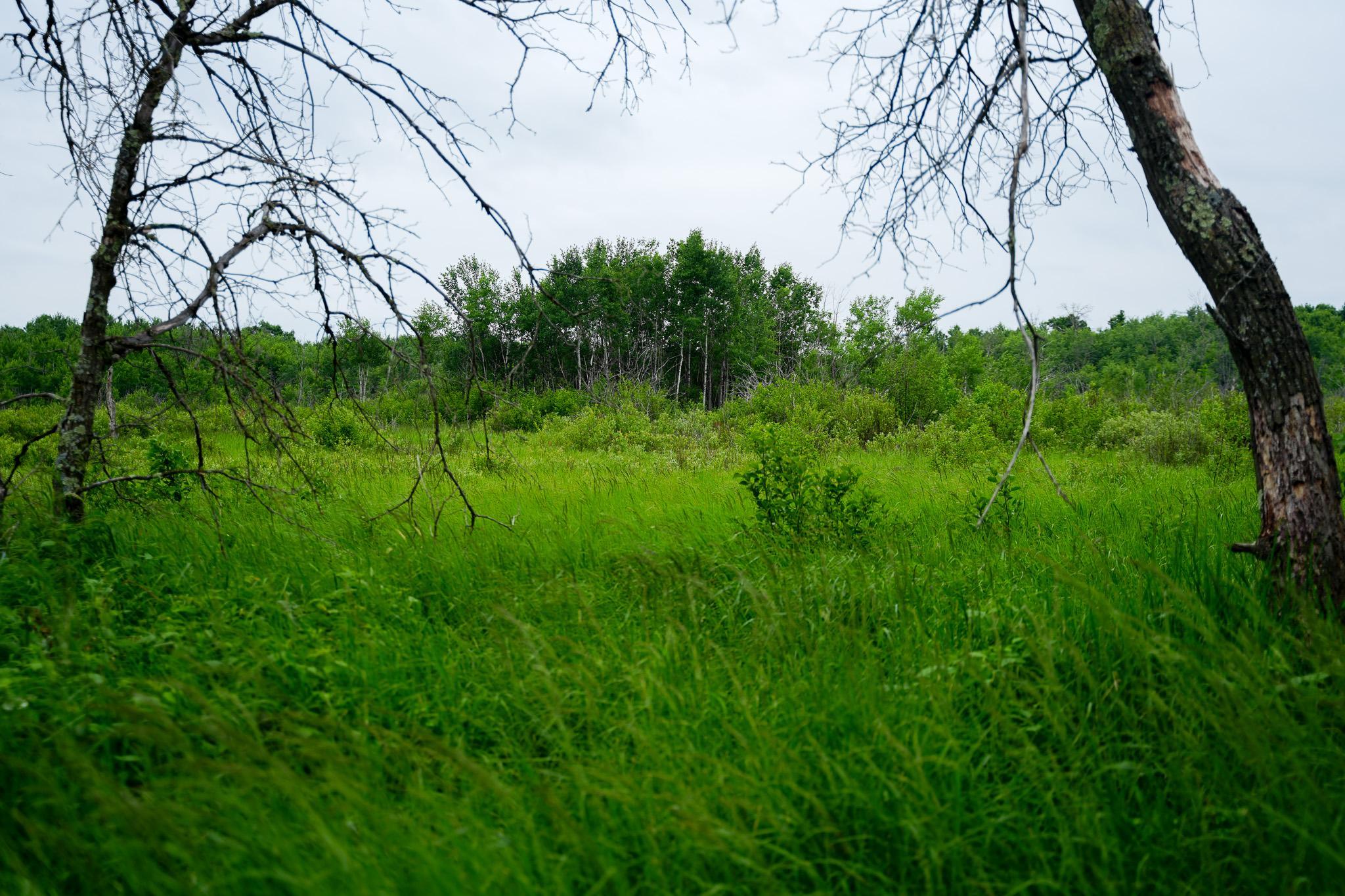 land for sale at 25820 County Road 26 in Sebeka, MN (photo 39 of 105)
