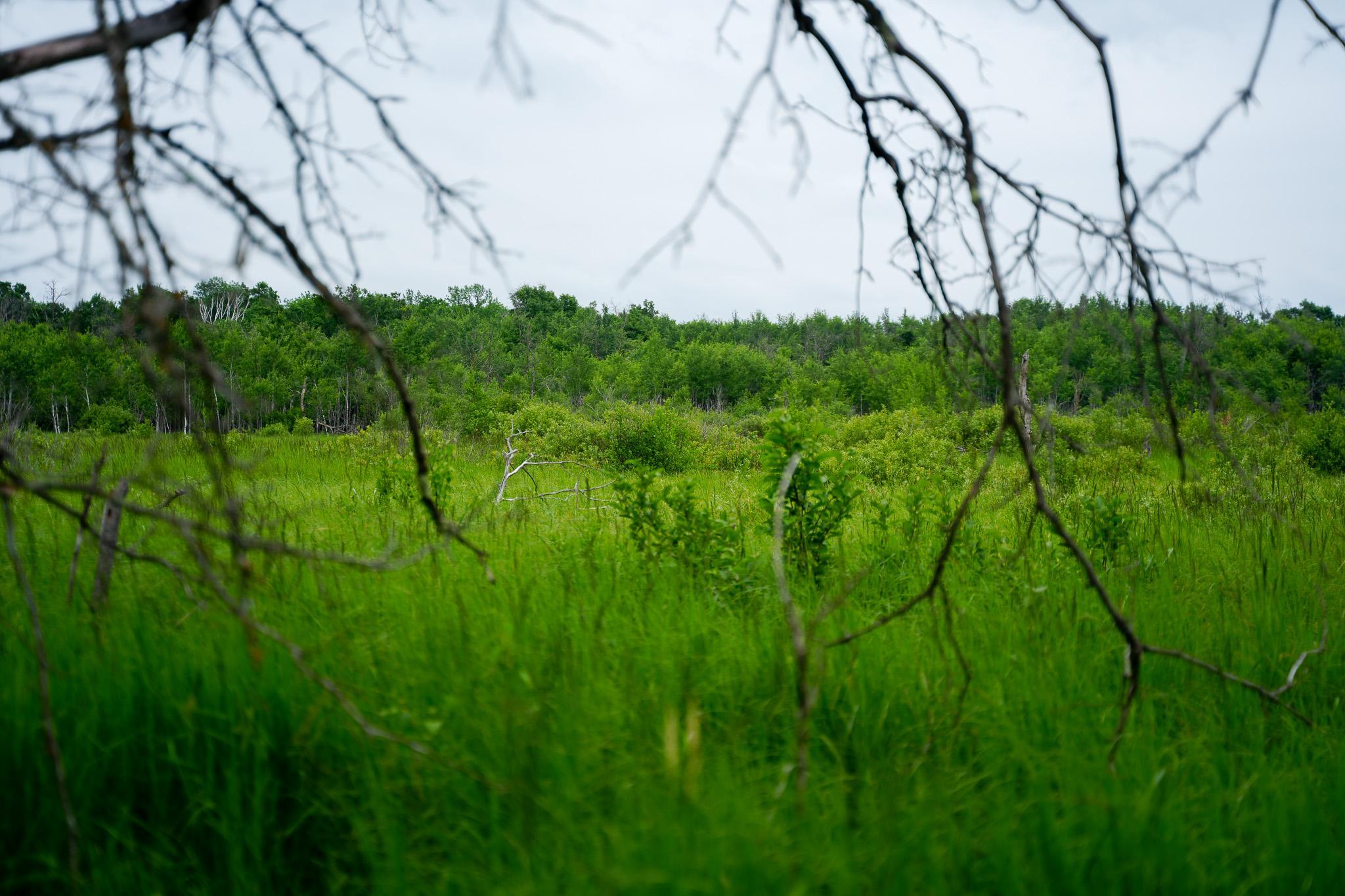 land for sale at 25820 County Road 26 in Sebeka, MN (photo 40 of 105)