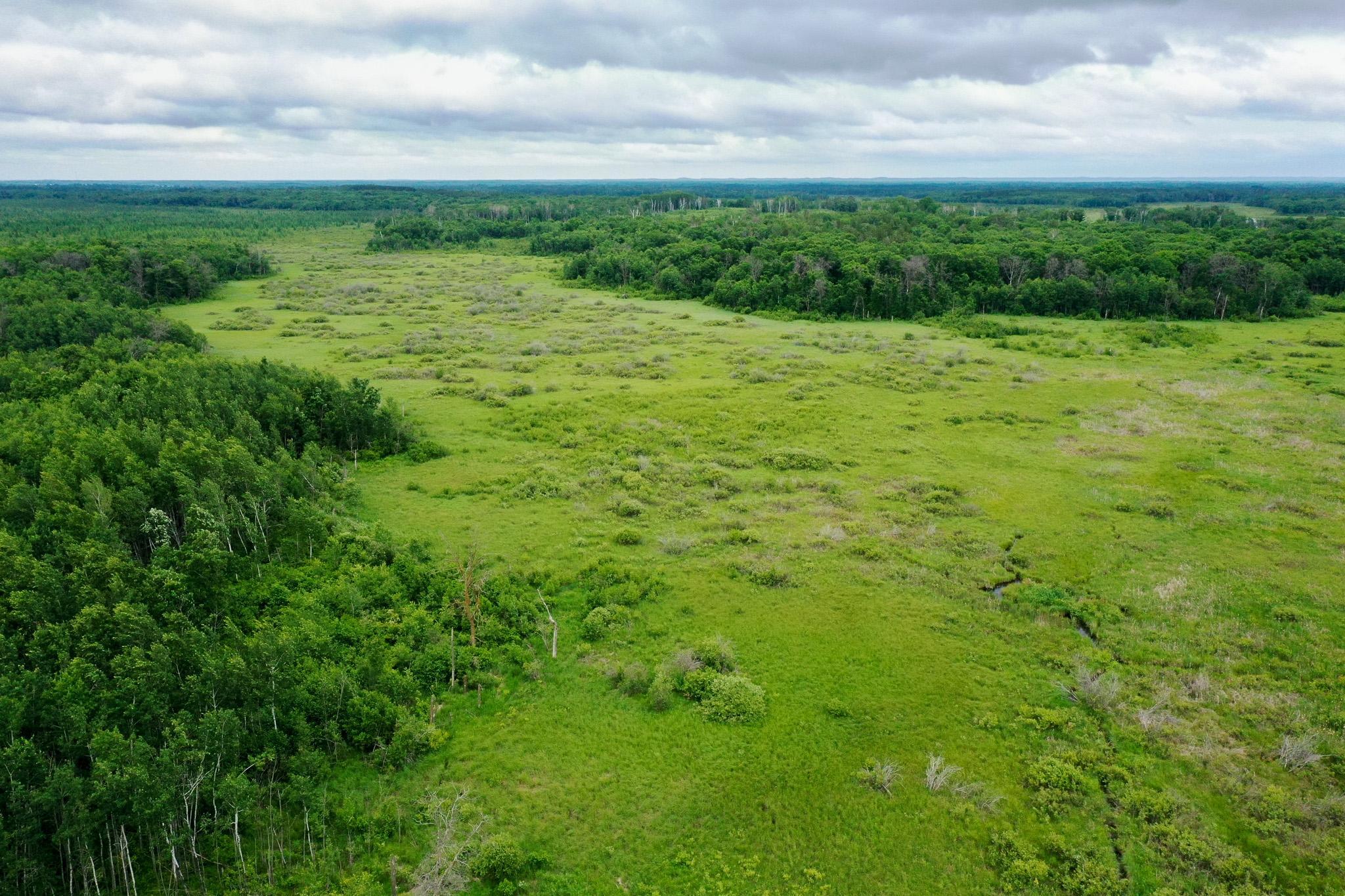 land for sale at 25820 County Road 26 in Sebeka, MN (photo 5 of 105)