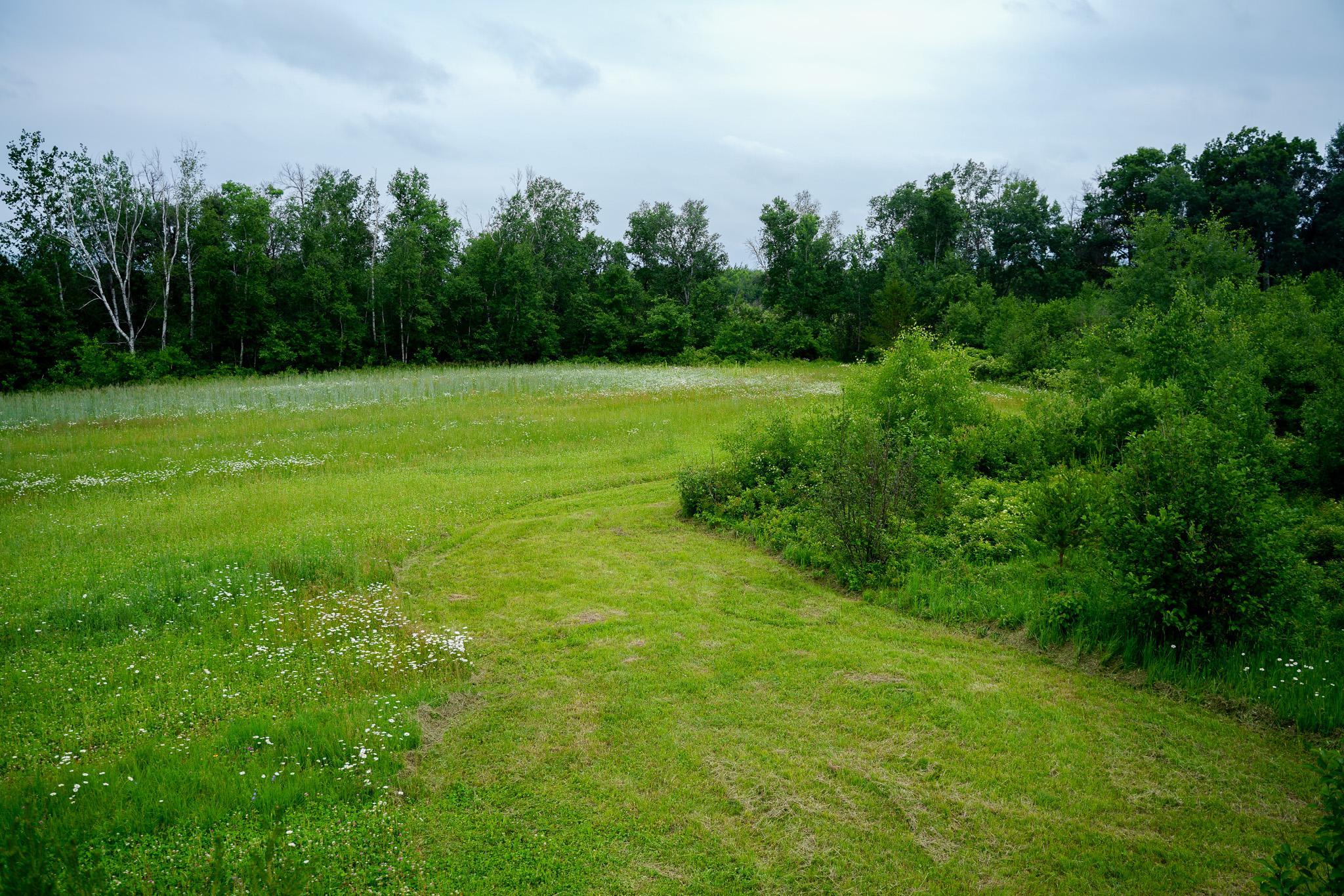 land for sale at 25820 County Road 26 in Sebeka, MN (photo 42 of 105)