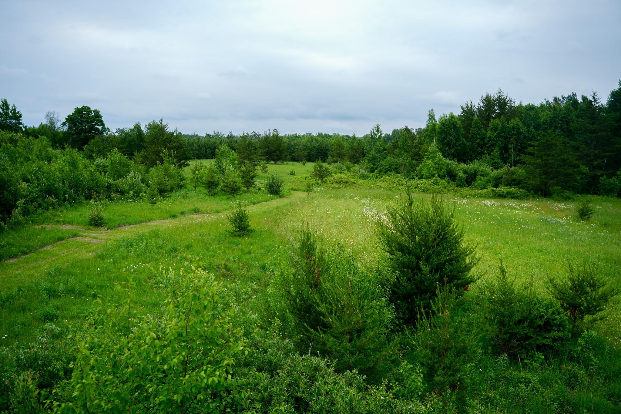 land for sale at 25820 County Road 26 in Sebeka, MN (photo 43 of 105)