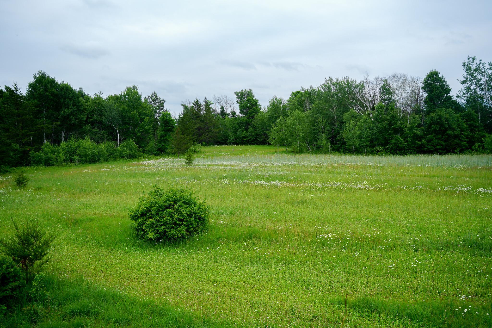 land for sale at 25820 County Road 26 in Sebeka, MN (photo 44 of 105)