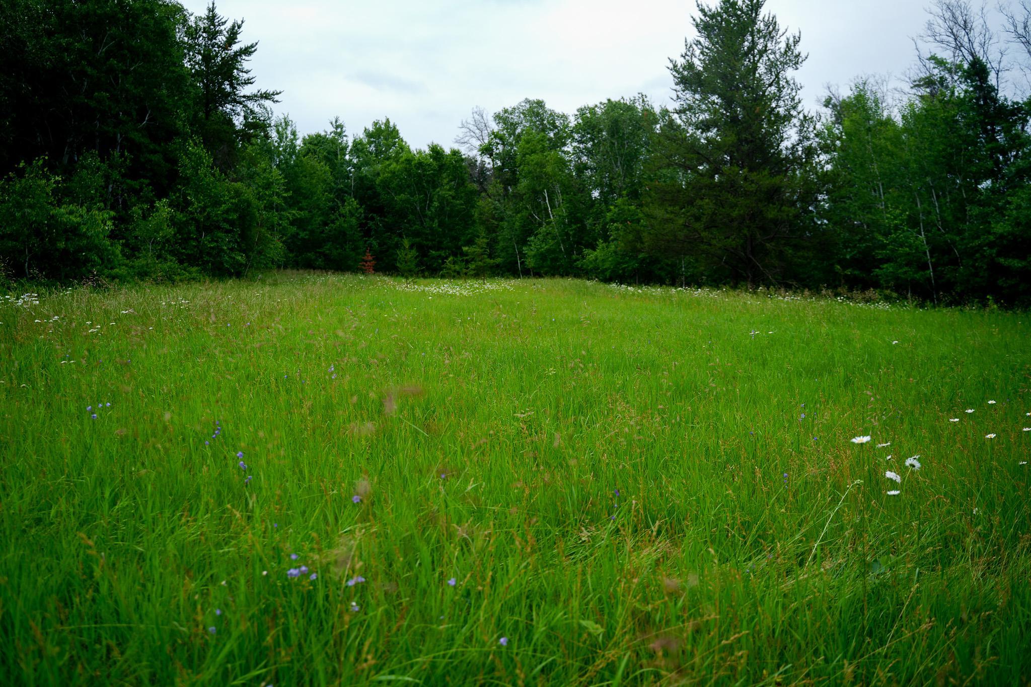 land for sale at 25820 County Road 26 in Sebeka, MN (photo 45 of 105)