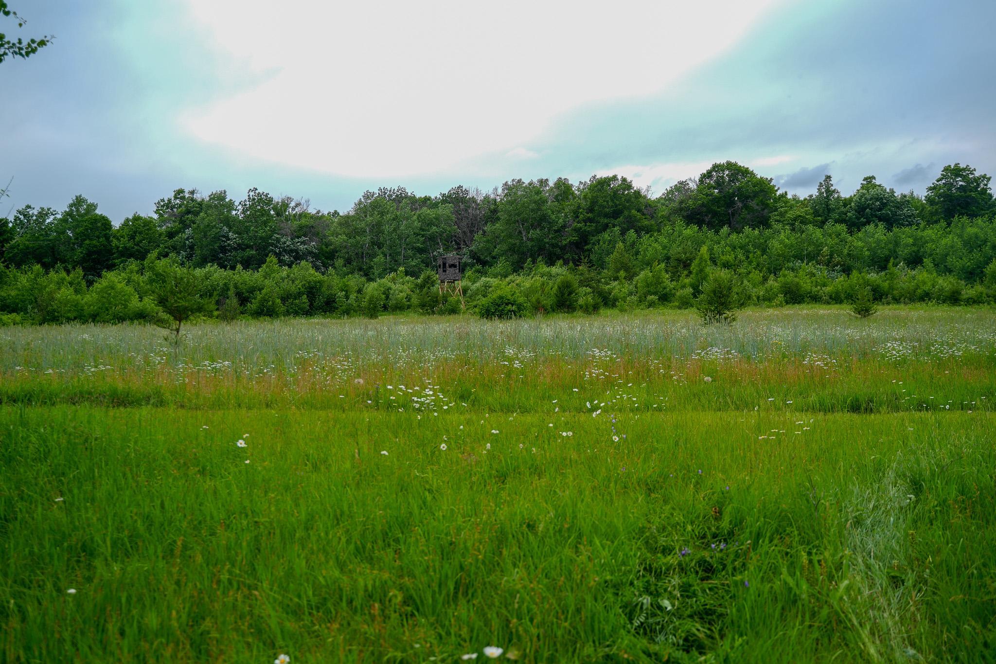 land for sale at 25820 County Road 26 in Sebeka, MN (photo 46 of 105)