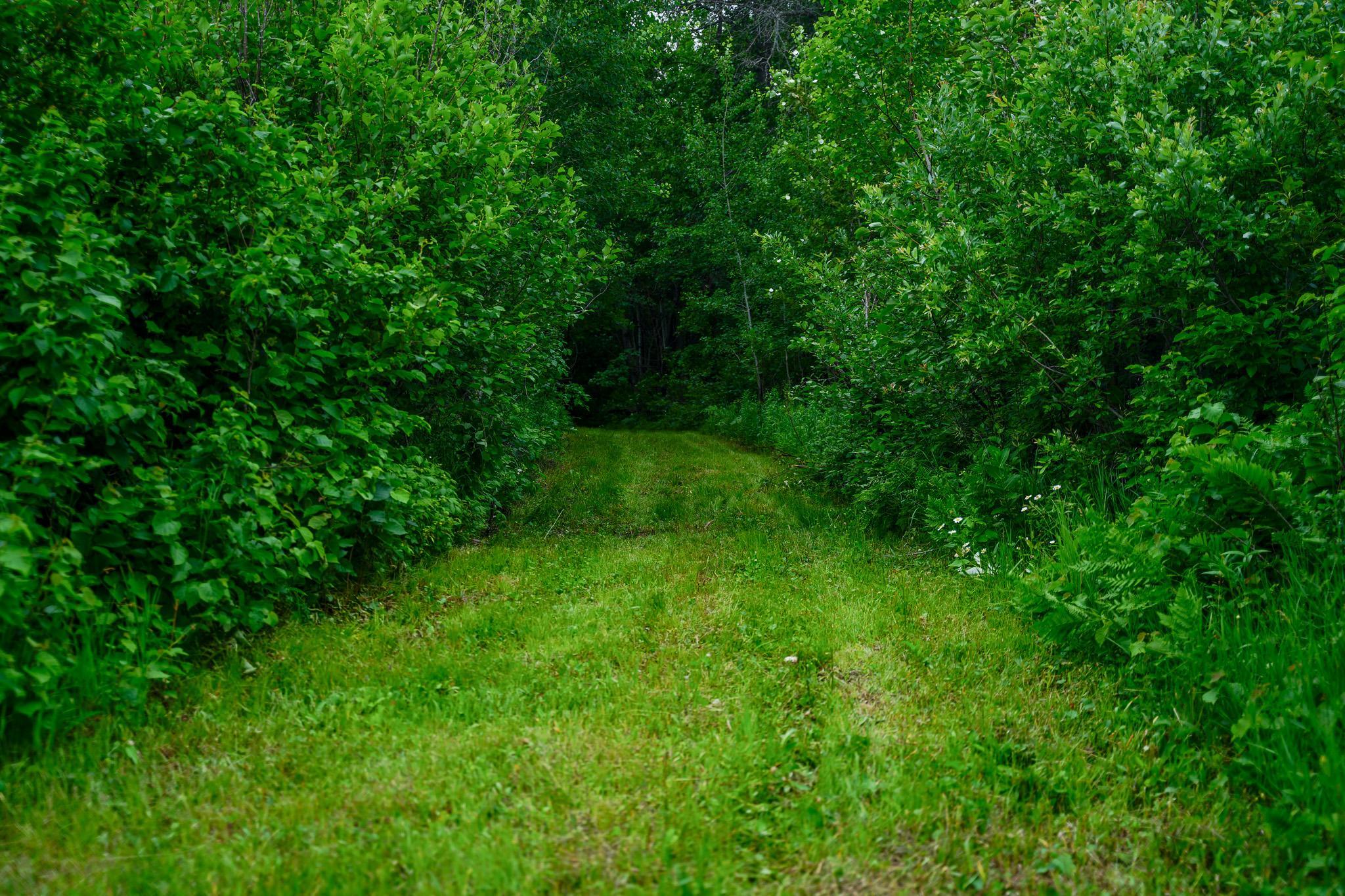 land for sale at 25820 County Road 26 in Sebeka, MN (photo 48 of 105)