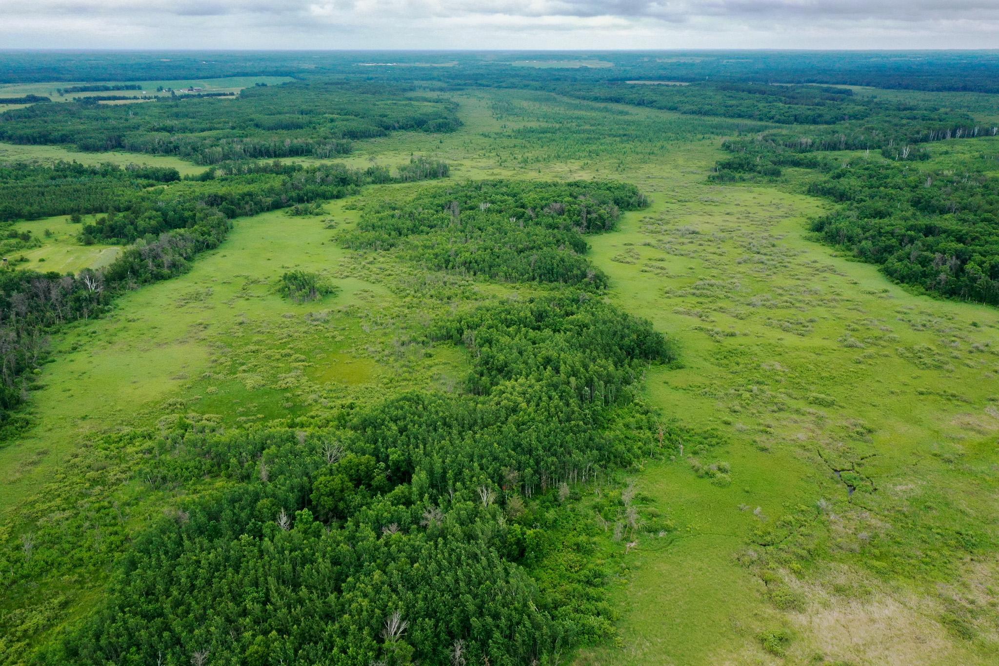 land for sale at 25820 County Road 26 in Sebeka, MN (photo 6 of 105)
