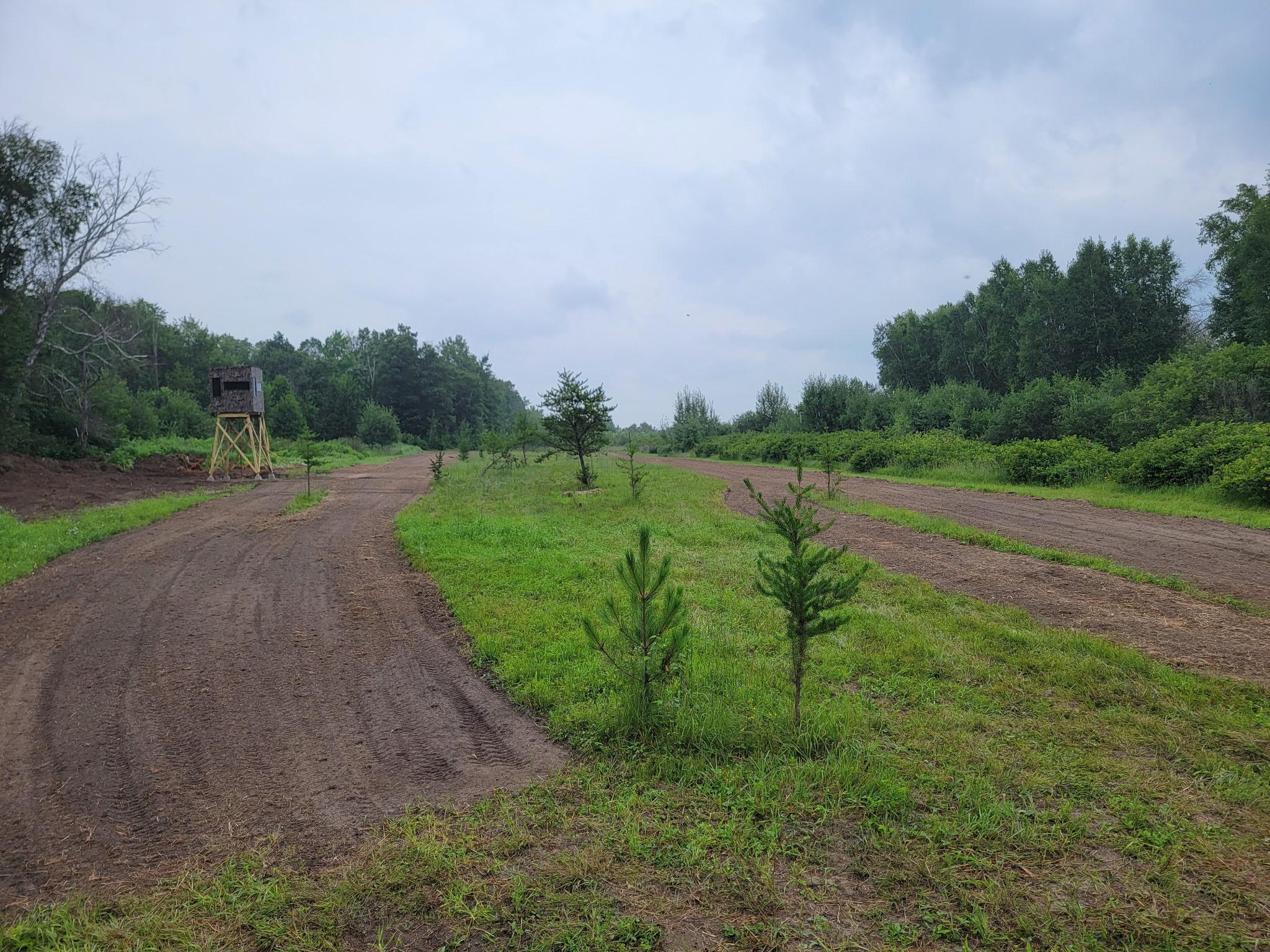 land for sale at 25820 County Road 26 in Sebeka, MN (photo 66 of 105)
